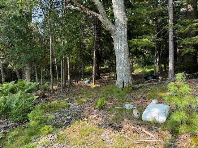 Lot C Long Point Road Property Photo 34