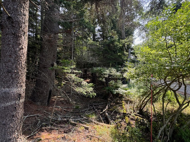 Lot C Long Point Road Property Photo 35