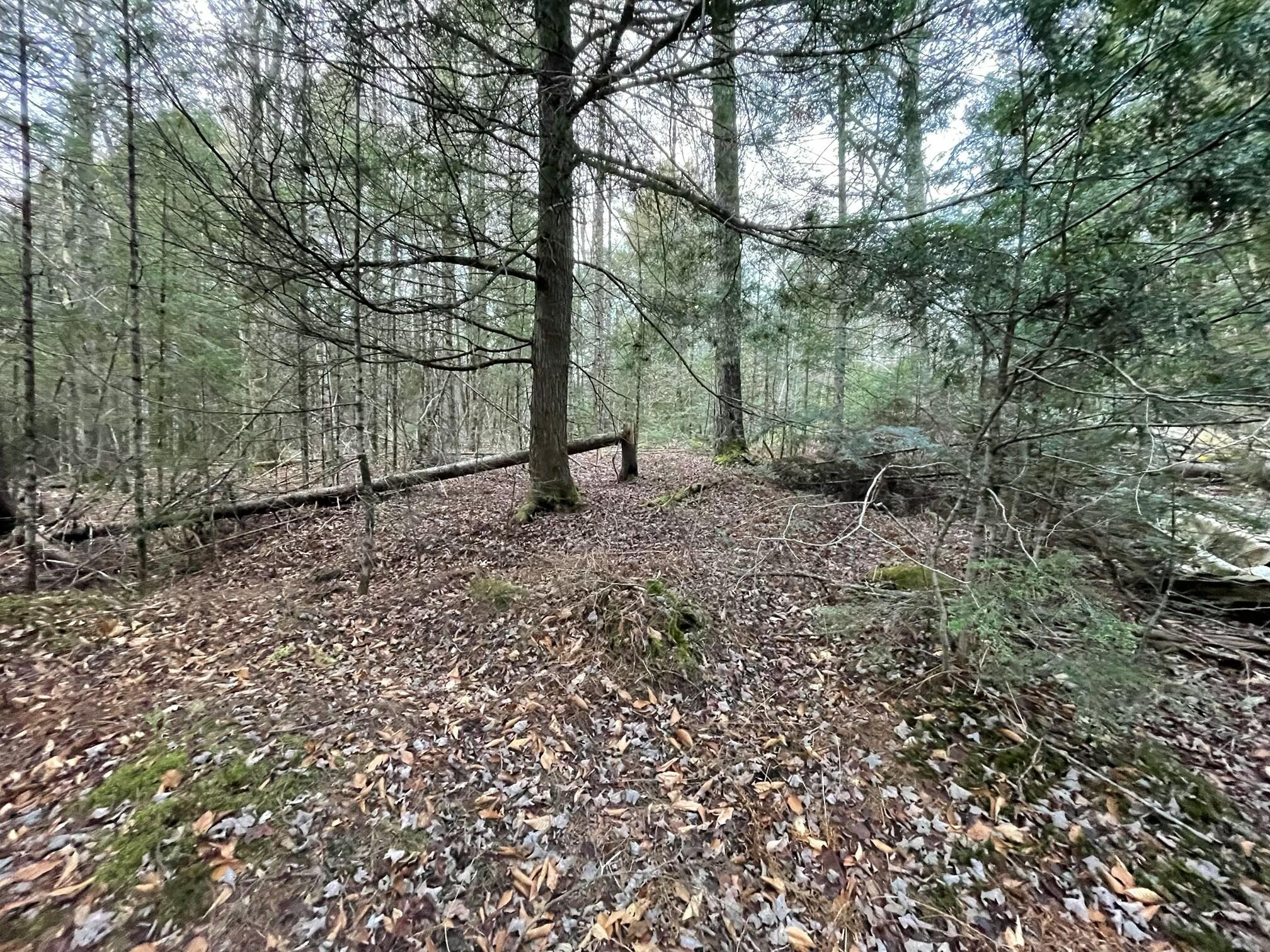 039-007 Bog Brook Loop Property Photo 2