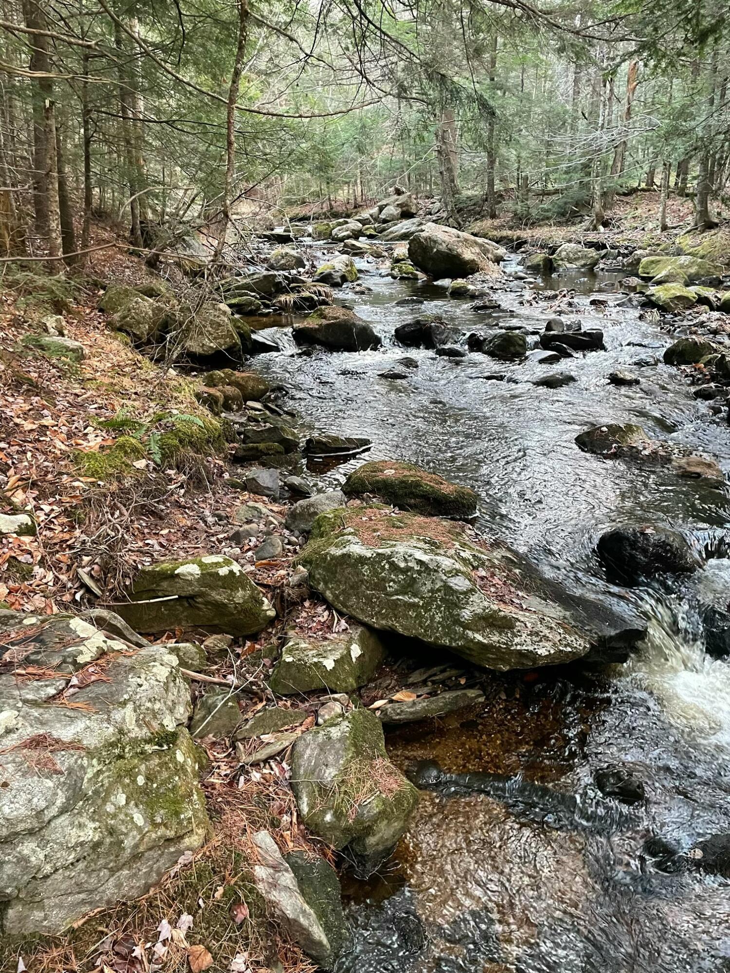 039-007 Bog Brook Loop Property Photo 3