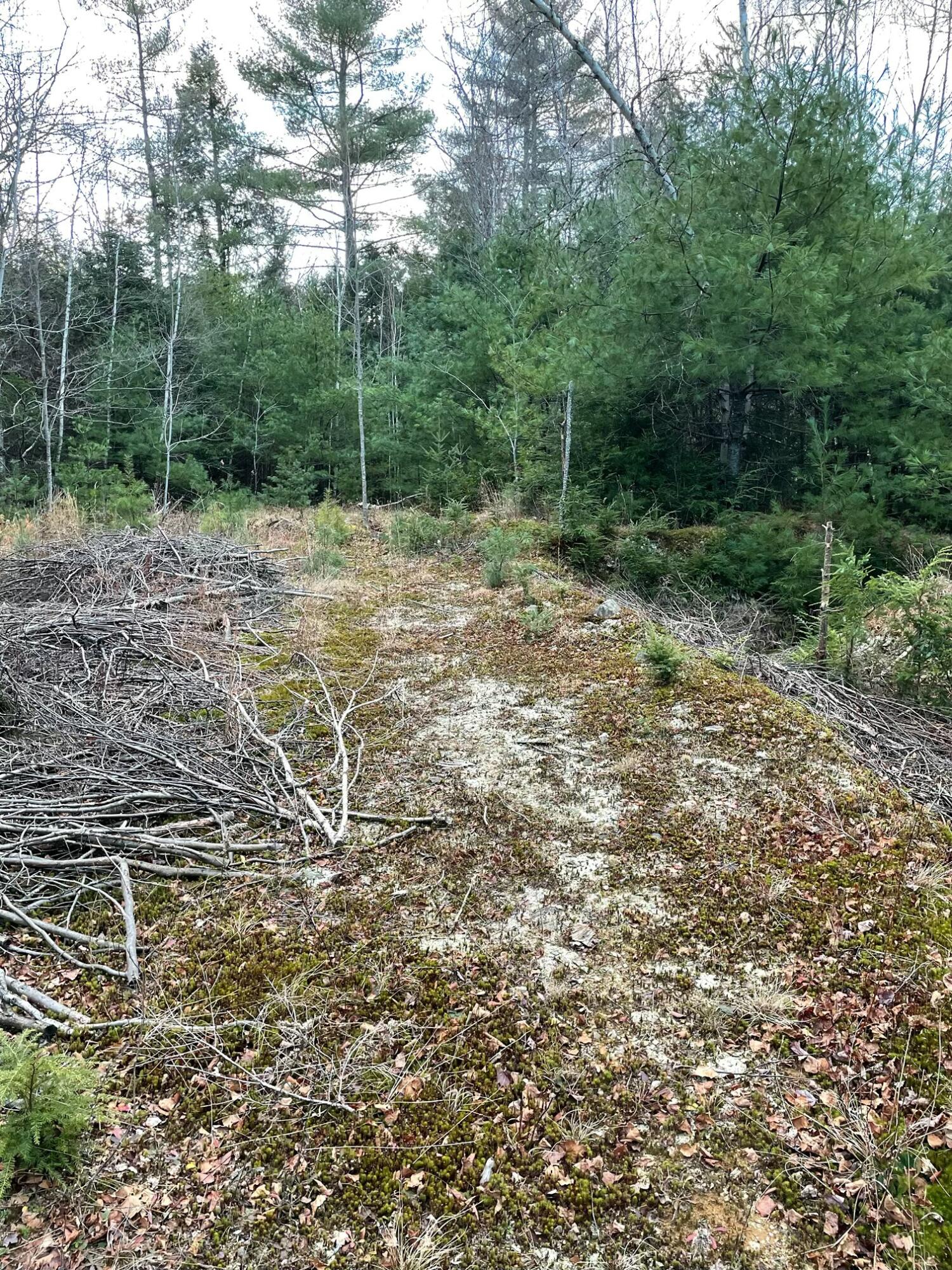 039-007 Bog Brook Loop Property Photo 4