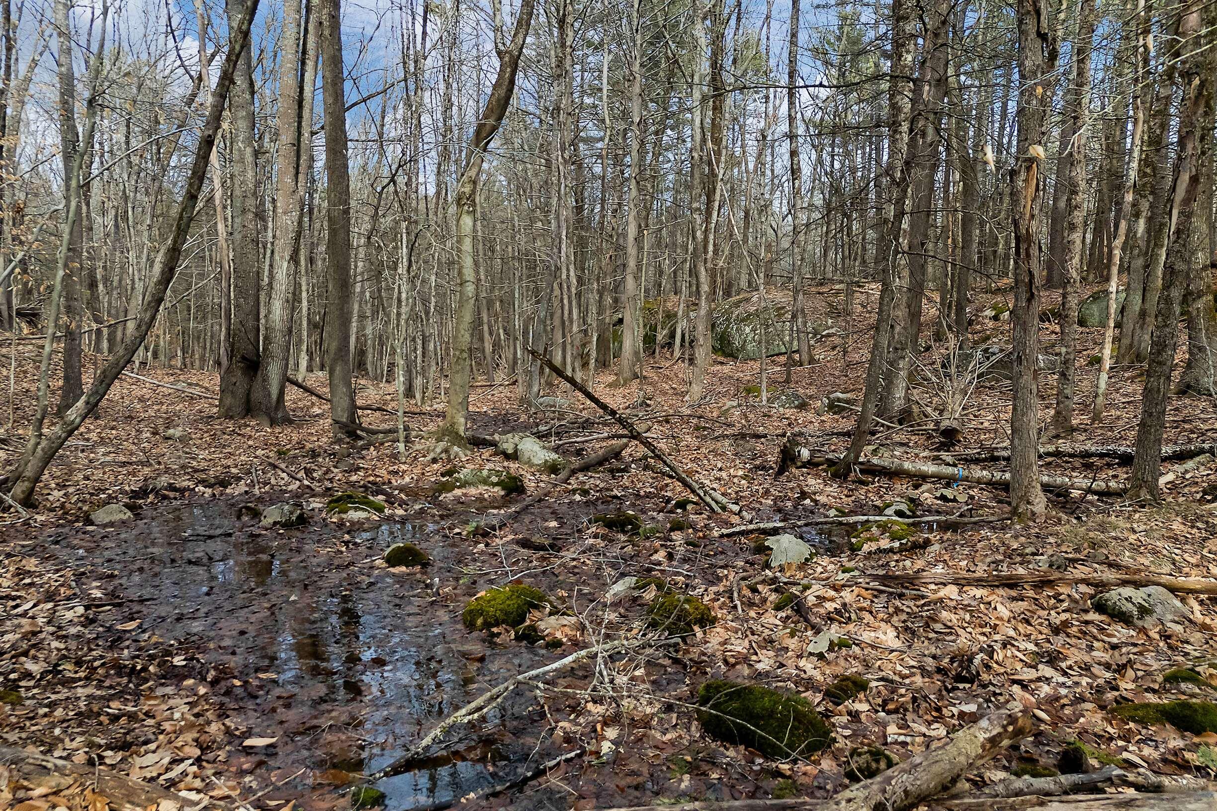 25 Marsh Brook Lane Property Photo 8