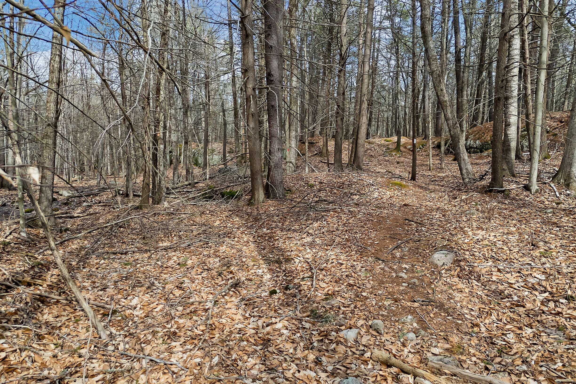 25 Marsh Brook Lane Property Photo 12