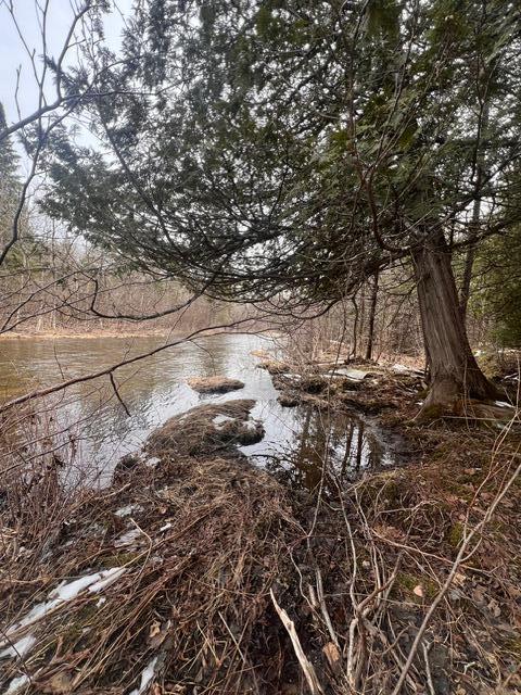 Lot 2 Back Ridge Road Property Photo 8