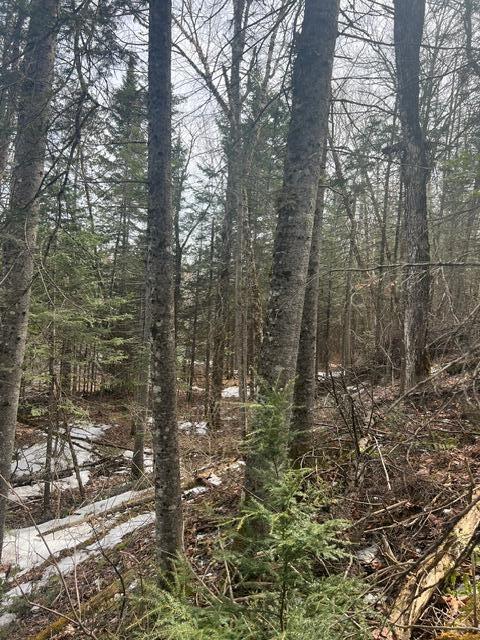Lot 2 Back Ridge Road Property Photo 10