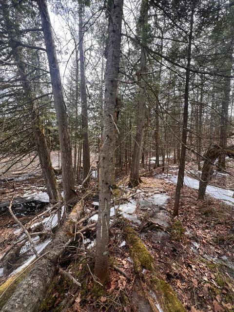 Lot 2 Back Ridge Road Property Photo 12