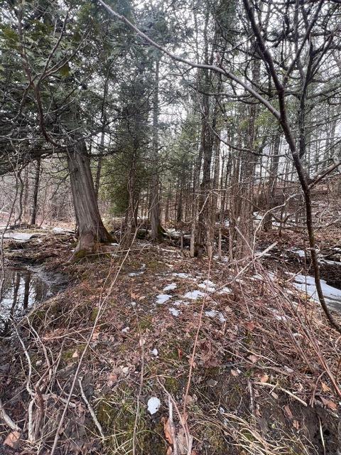 Lot 2 Back Ridge Road Property Photo 13