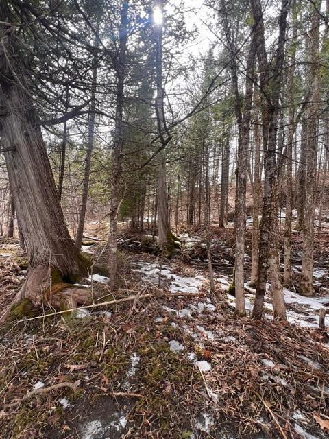 Lot 2 Back Ridge Road Property Photo 14