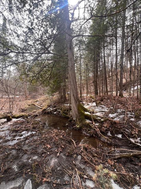 Lot 2 Back Ridge Road Property Photo 15