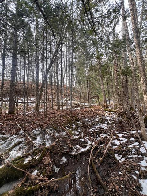 Lot 2 Back Ridge Road Property Photo 16