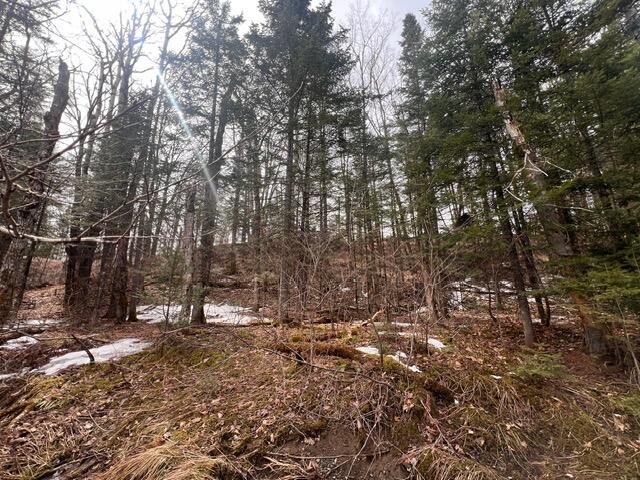 Lot 2 Back Ridge Road Property Photo 17