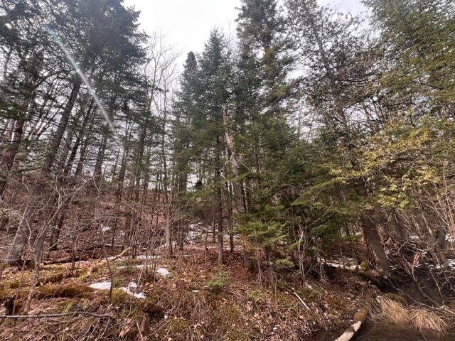 Lot 2 Back Ridge Road Property Photo 18