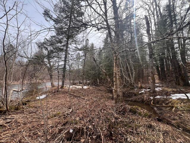 Lot 2 Back Ridge Road Property Photo 19