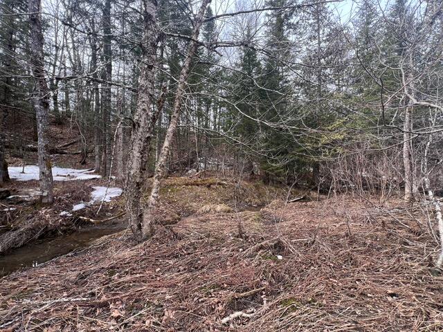 Lot 2 Back Ridge Road Property Photo 21