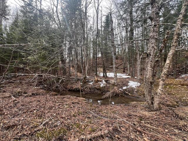 Lot 2 Back Ridge Road Property Photo 22
