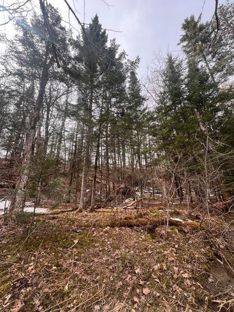 Lot 2 Back Ridge Road Property Photo 23