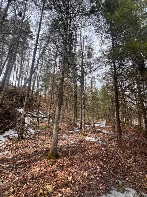 Lot 2 Back Ridge Road Property Photo 24