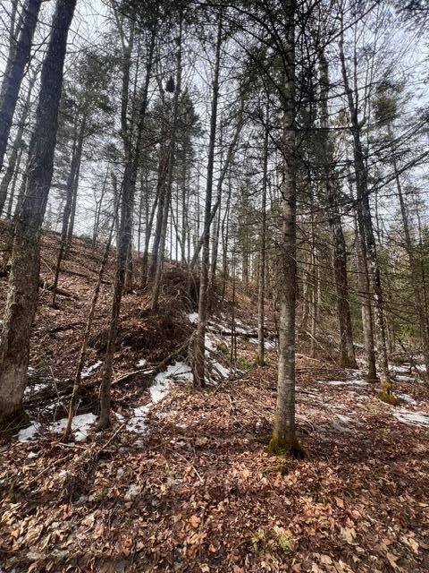 Lot 2 Back Ridge Road Property Photo 26