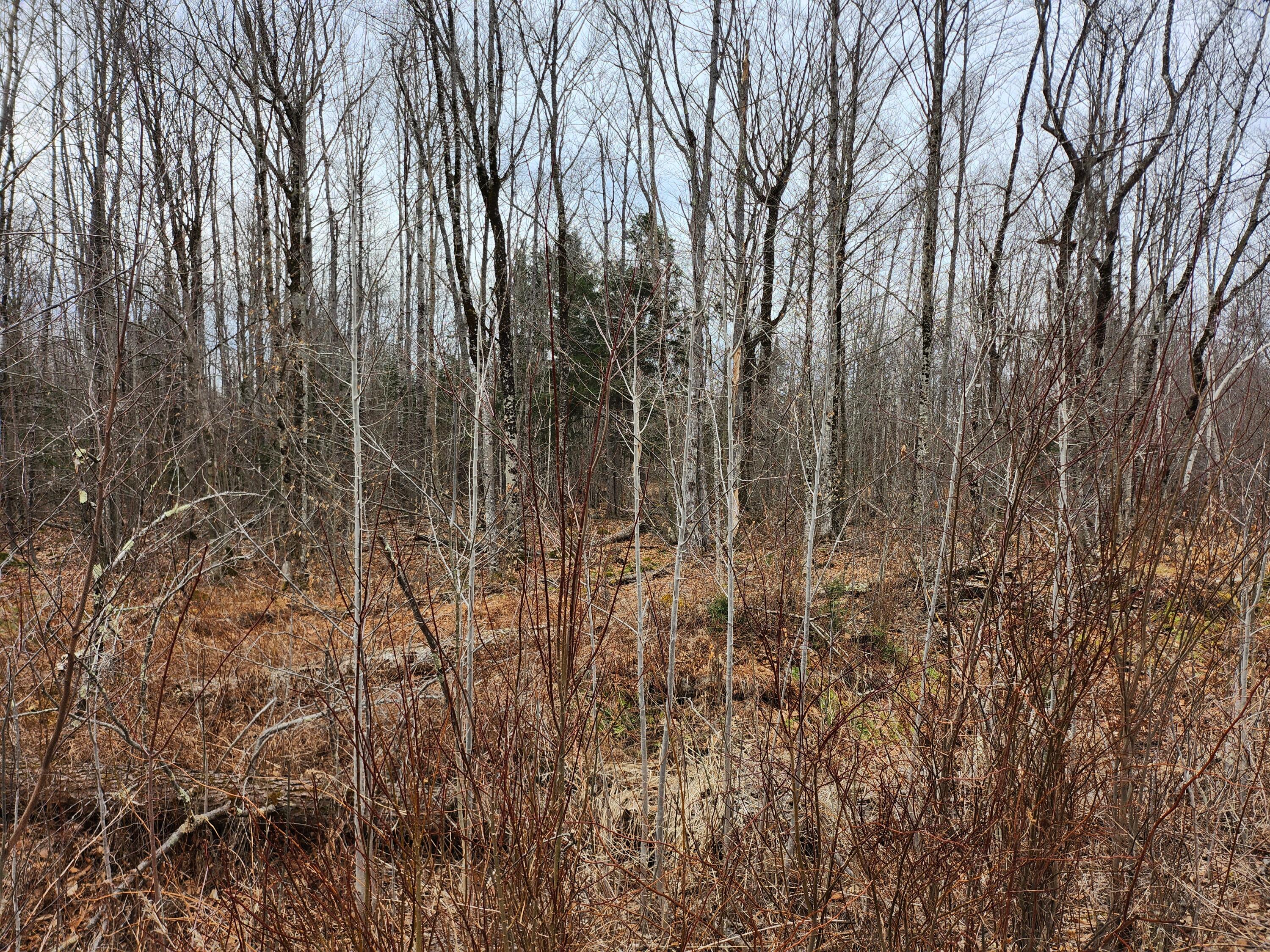 Lot 29-4 Windfall Lane Property Photo 1