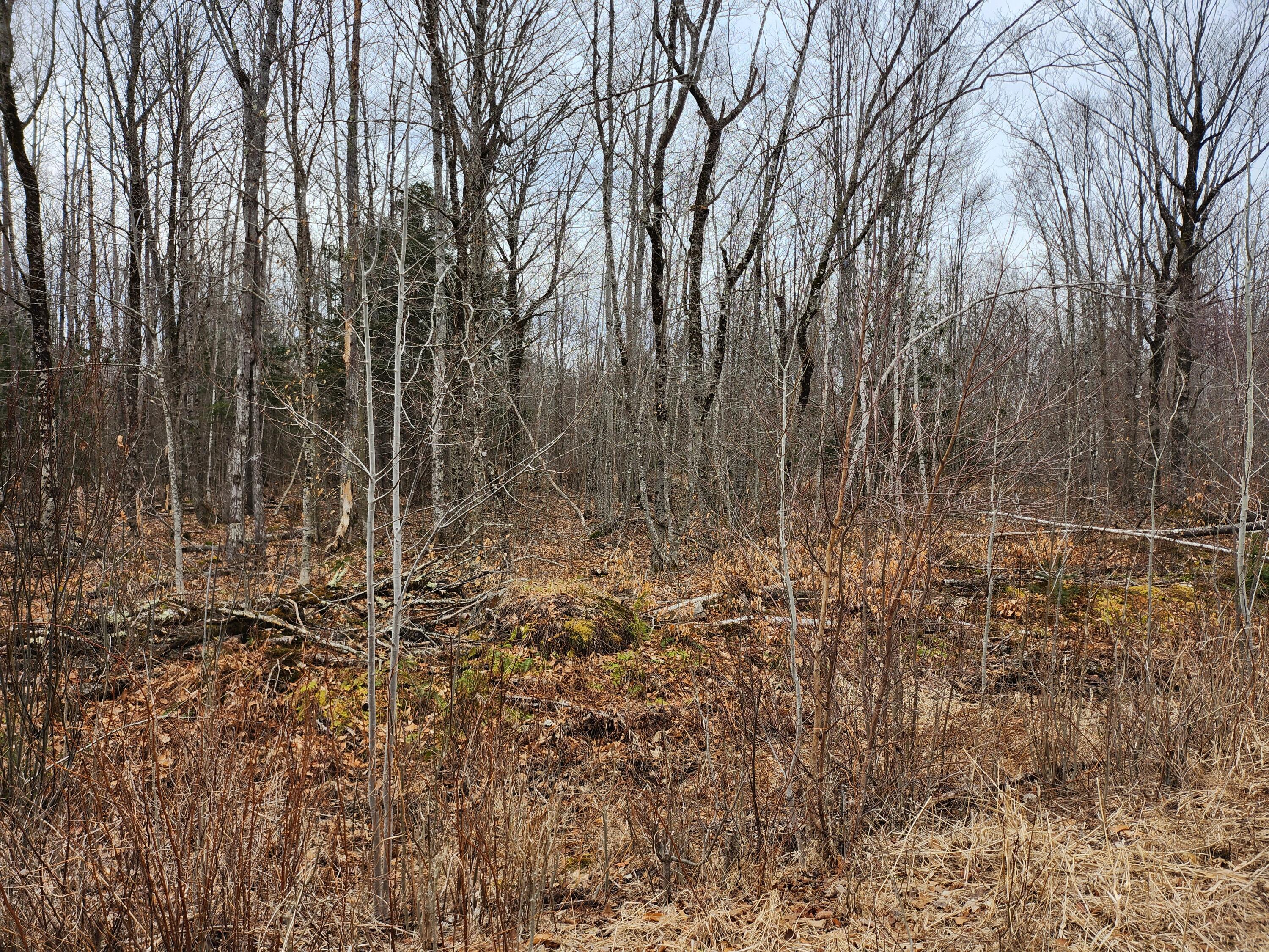 Lot 29-4 Windfall Lane Property Photo 3