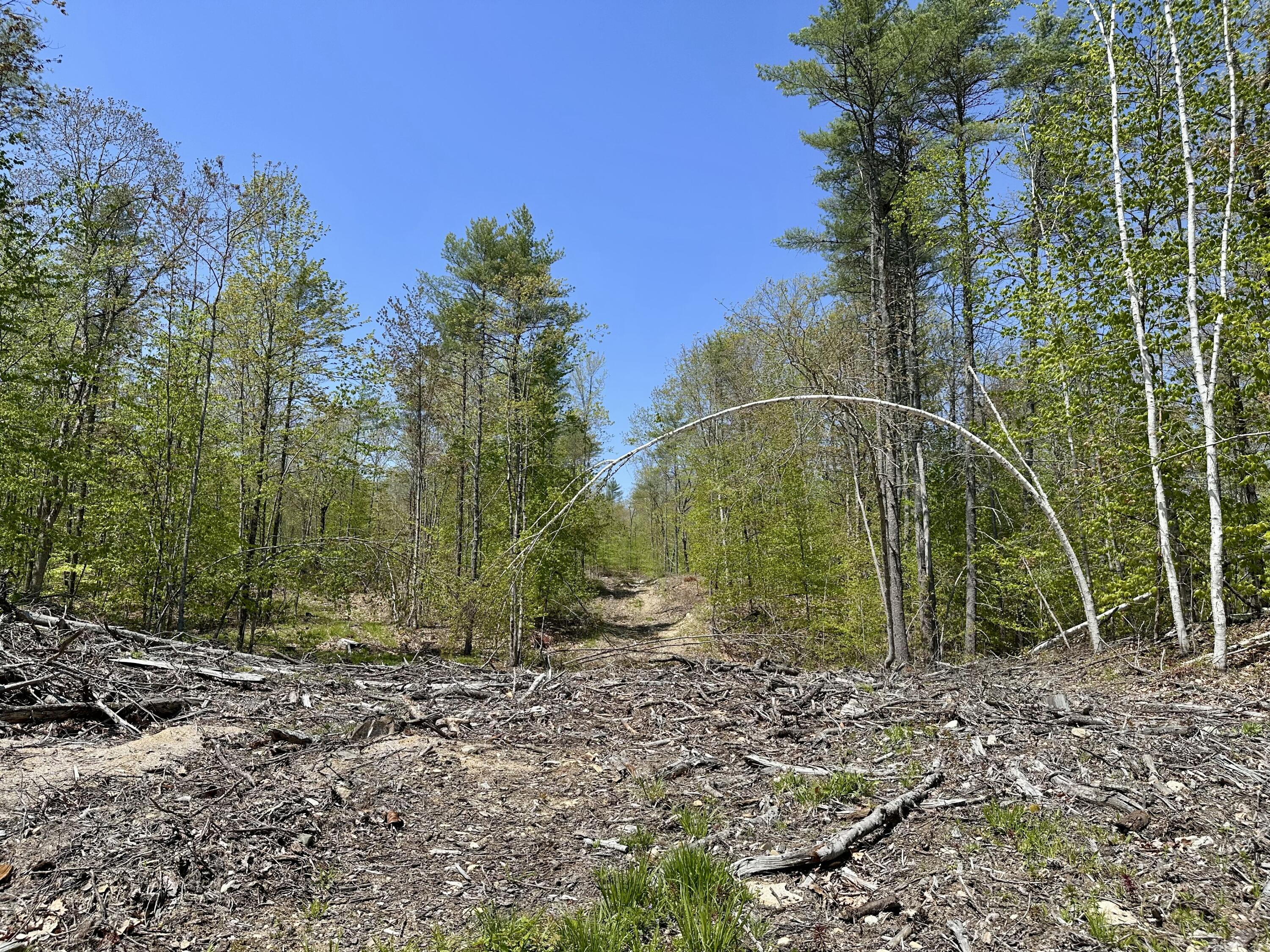 Lot 3-12b Johnson Road Property Photo 7