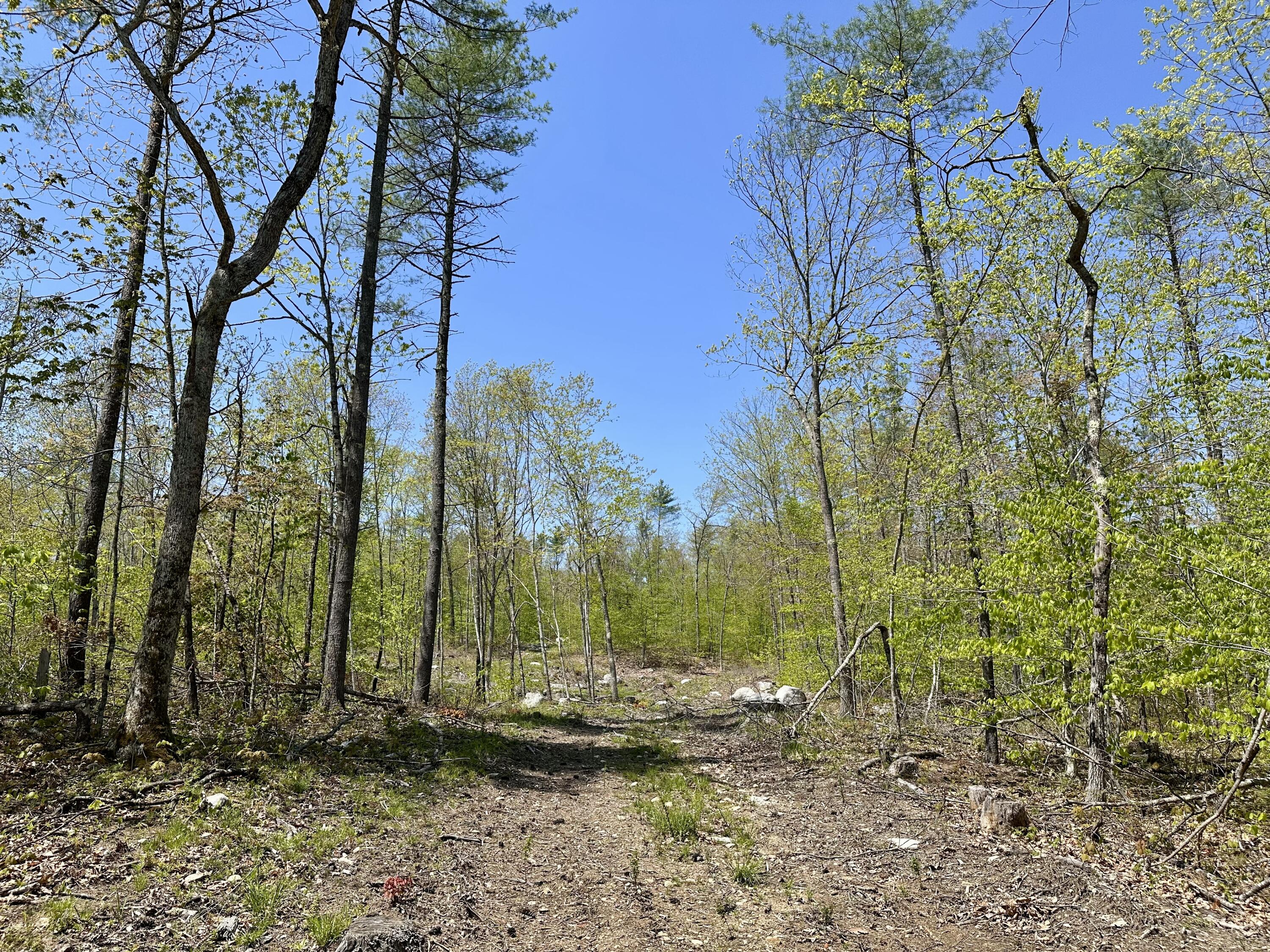 Lot 3-12b Johnson Road Property Photo 8
