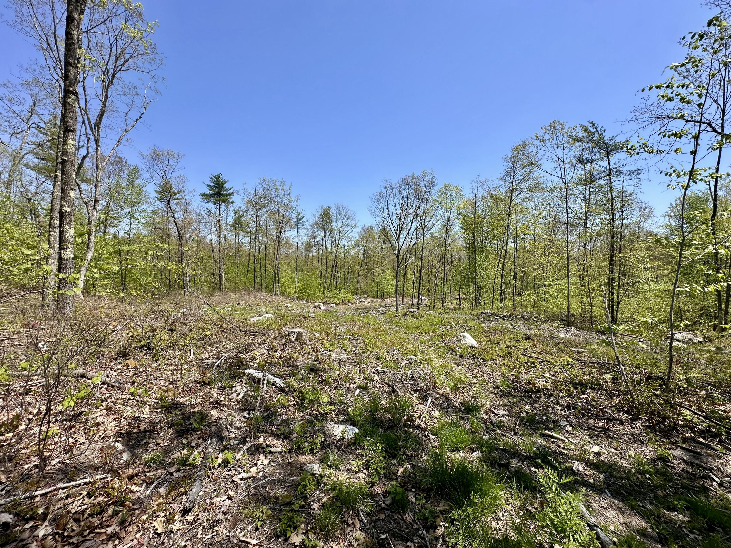 Lot 3-12b Johnson Road Property Photo 10