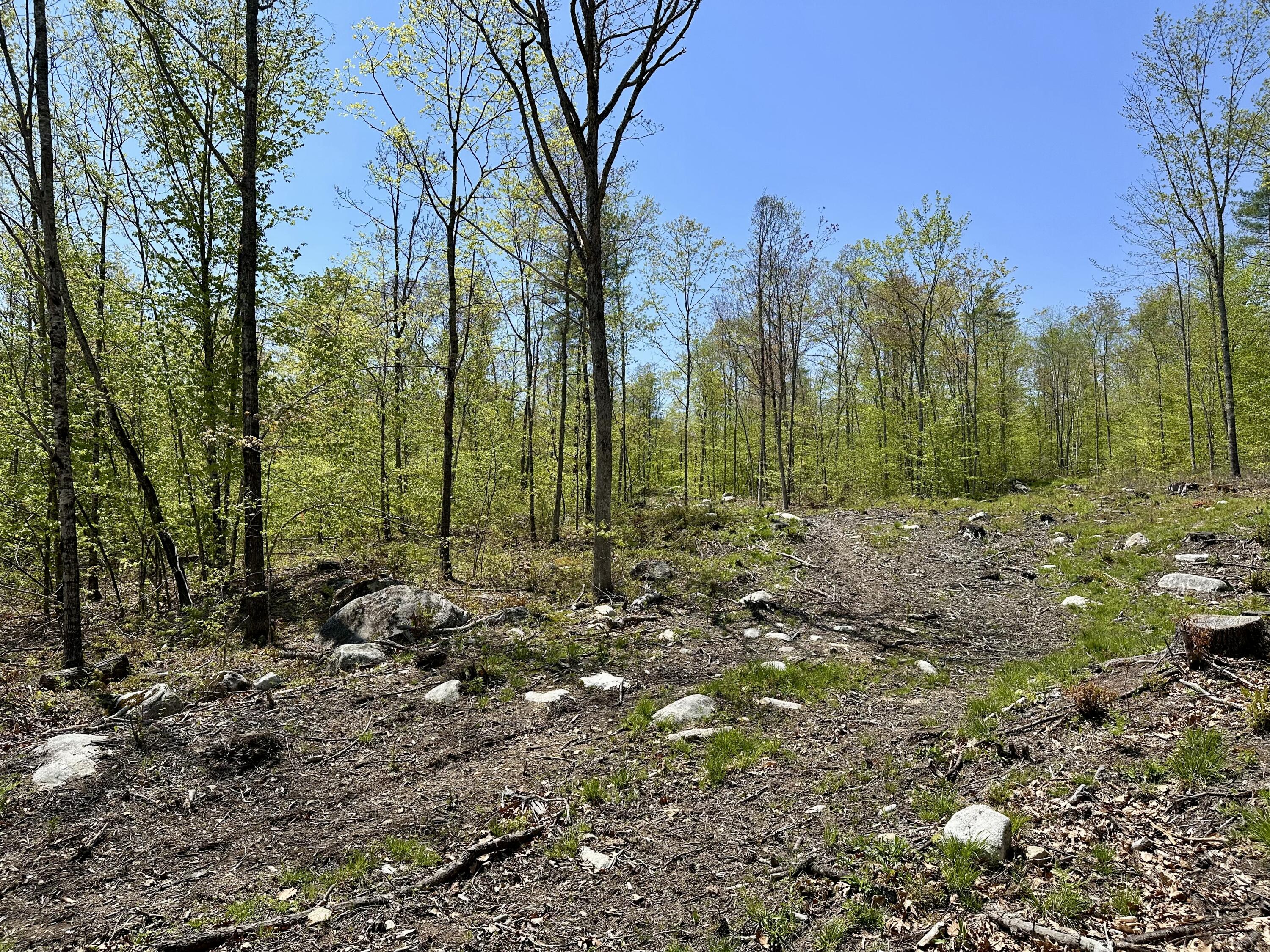 Lot 3-12b Johnson Road Property Photo 11