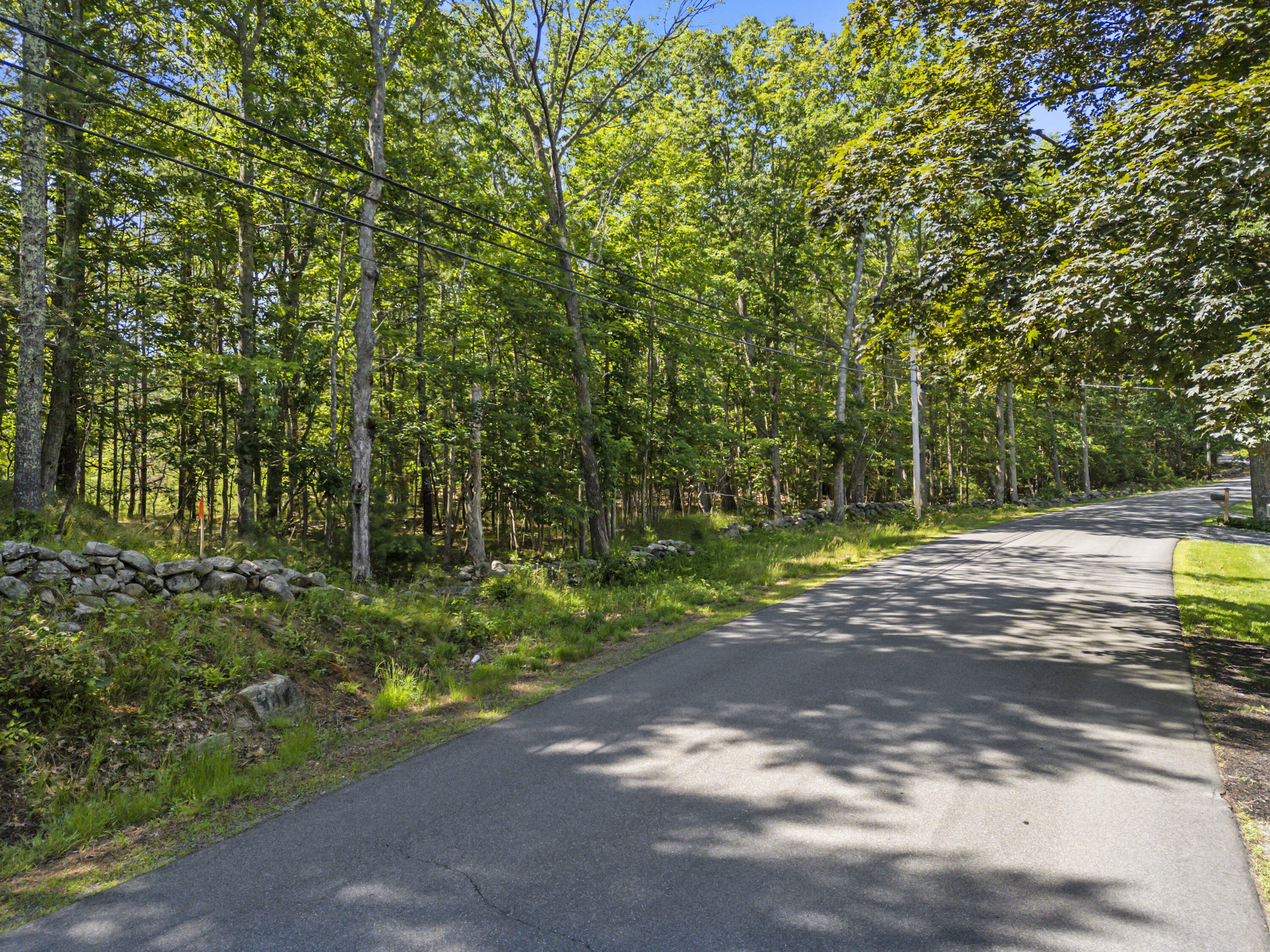 119 Pine Hill Road Property Photo 5