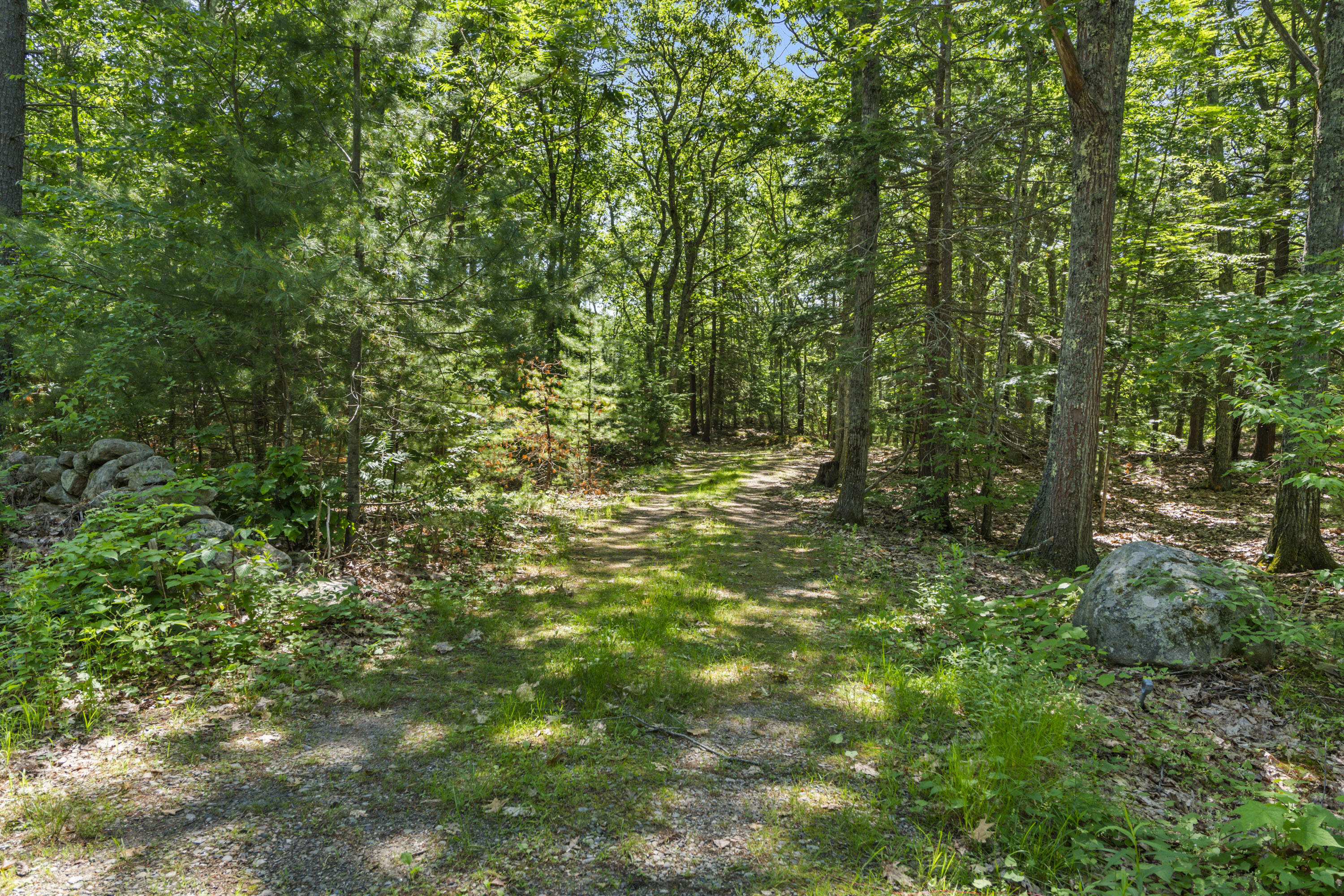 119 Pine Hill Road Property Photo 6