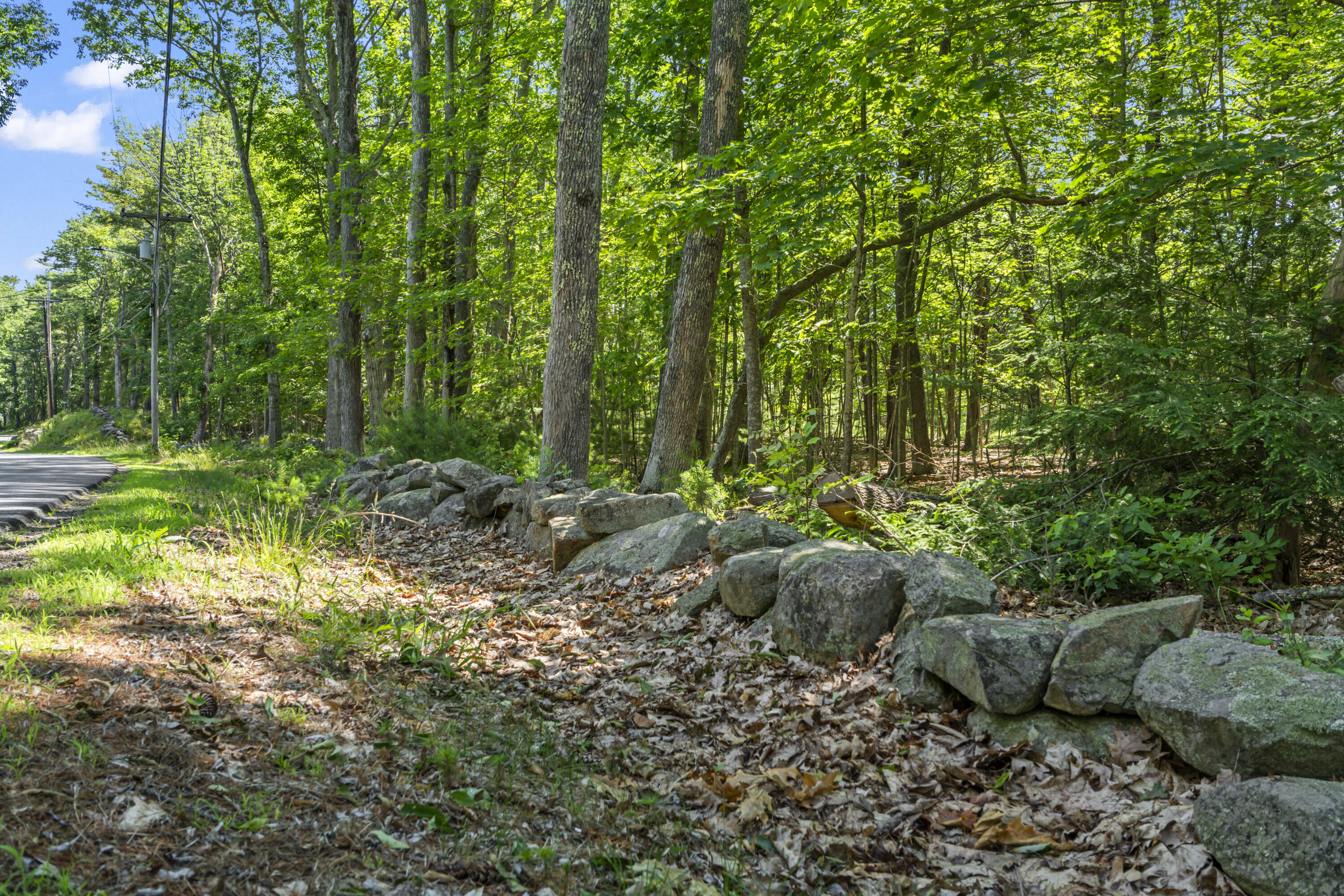 119 Pine Hill Road Property Photo 12