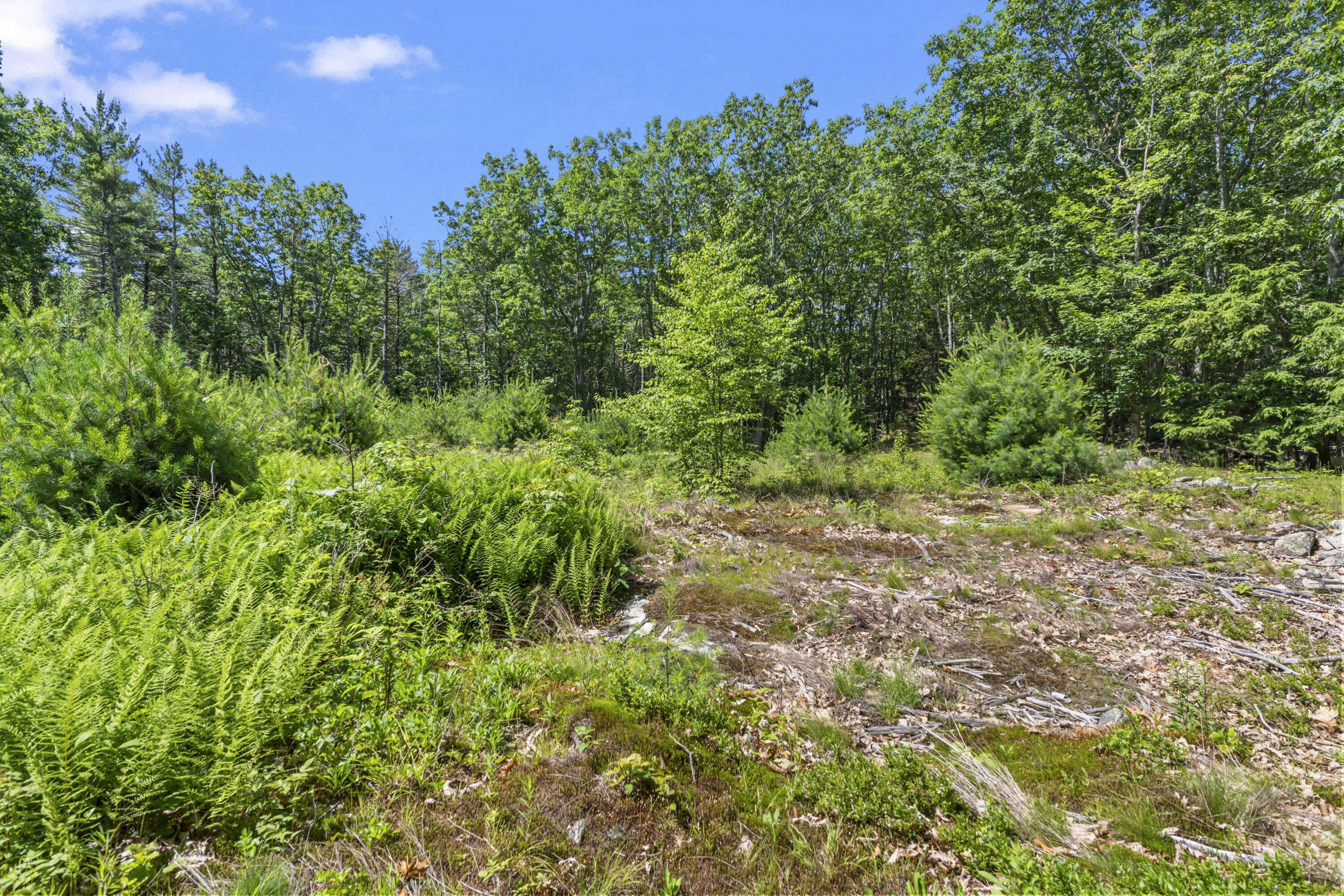119 Pine Hill Road Property Photo 15