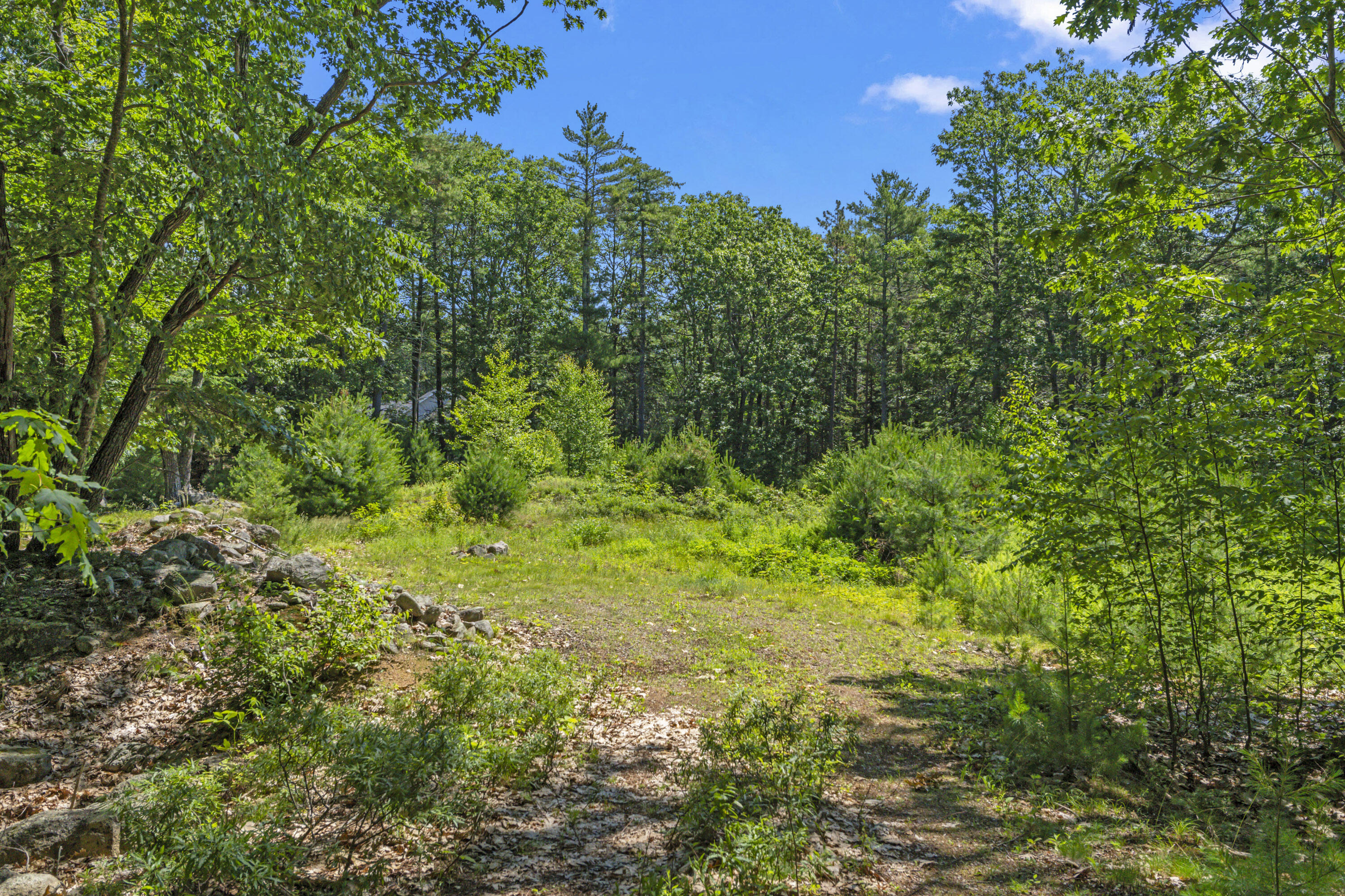 119 Pine Hill Road Property Photo 16