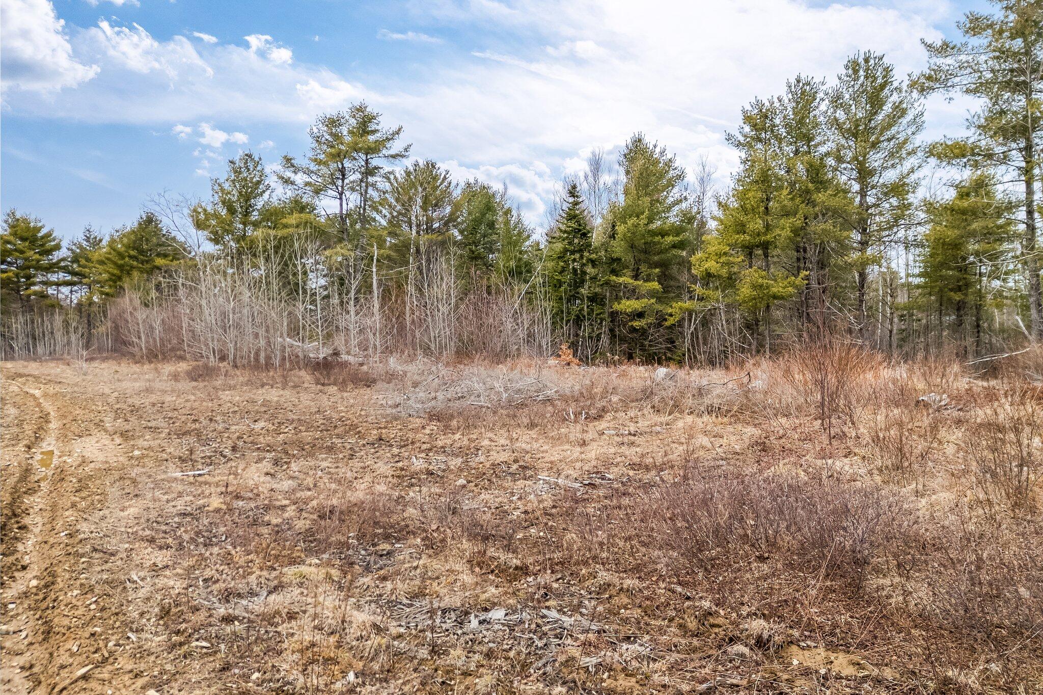 012-009 Airline Road Property Photo 17