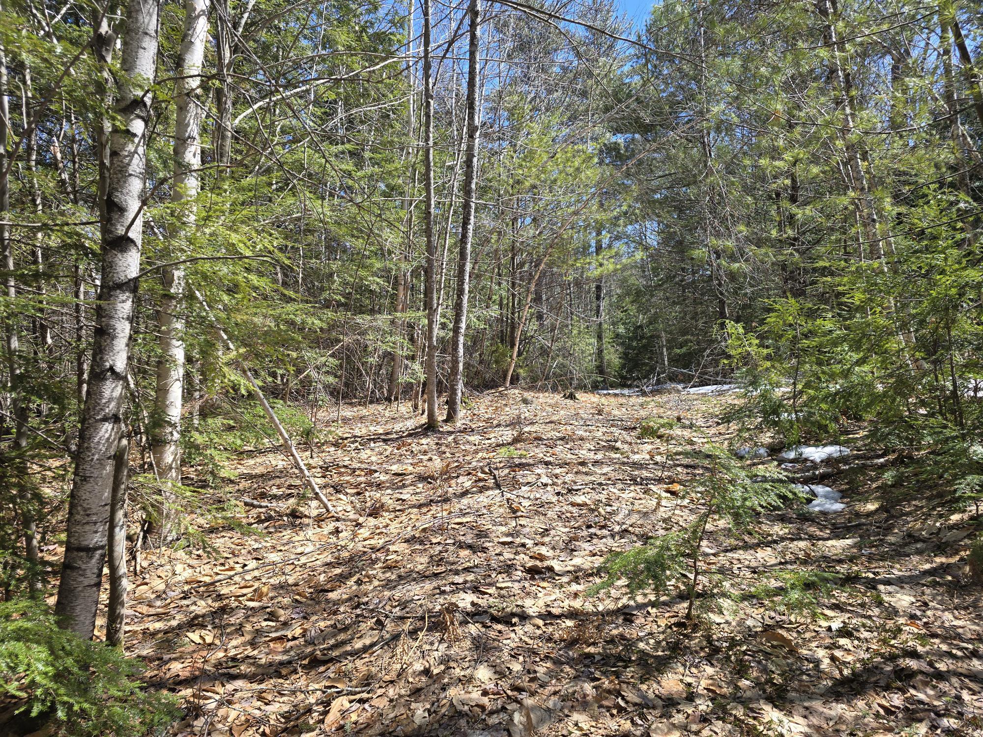 Lot 4a Center Conway Road Property Photo 3