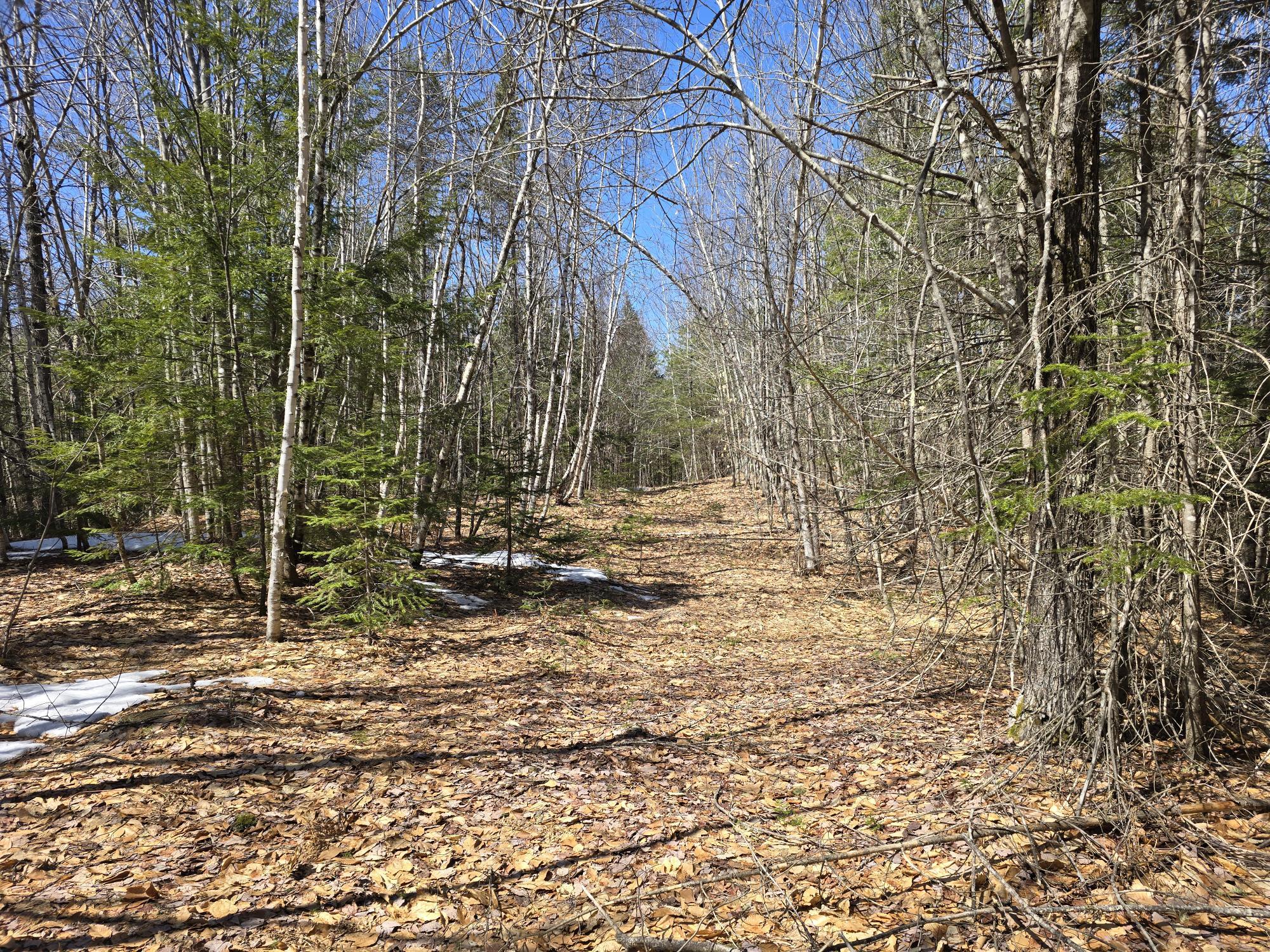 Lot 4a Center Conway Road Property Photo 4