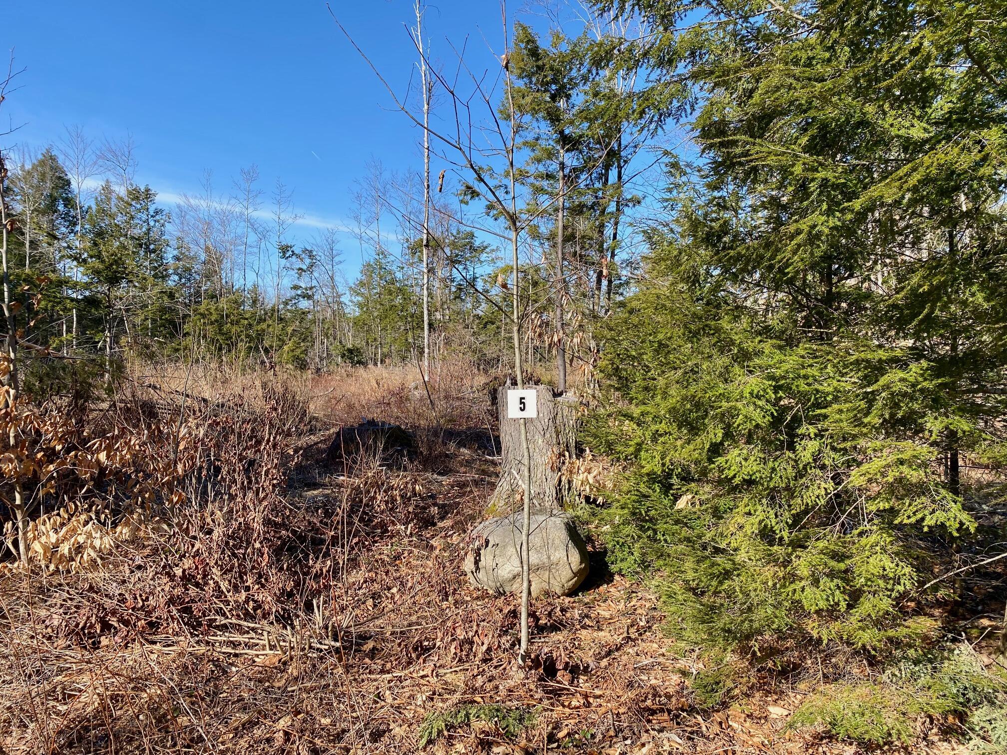 Lot 5 North Gorham Road Property Photo 2