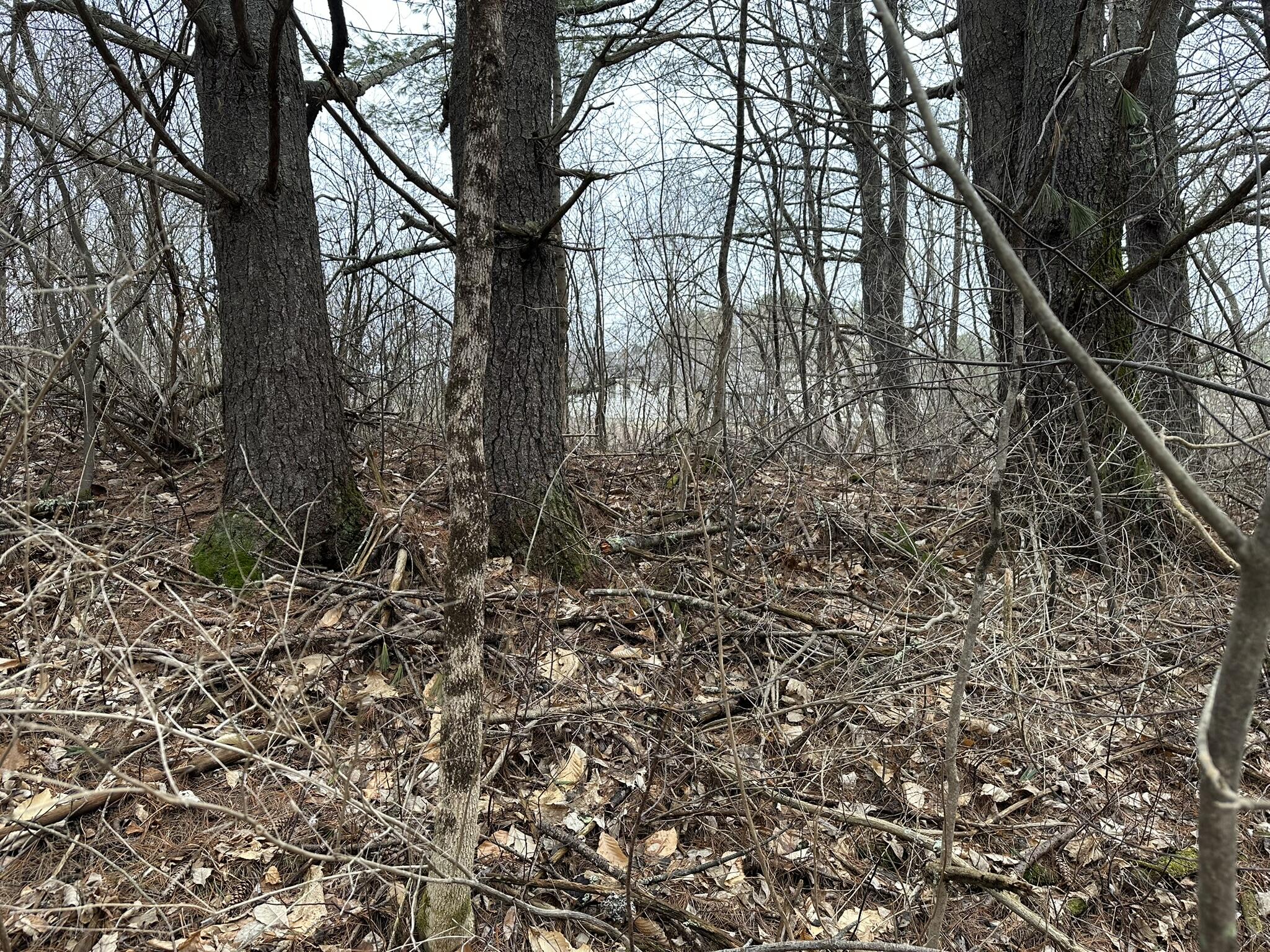 135 River Road Property Photo 18