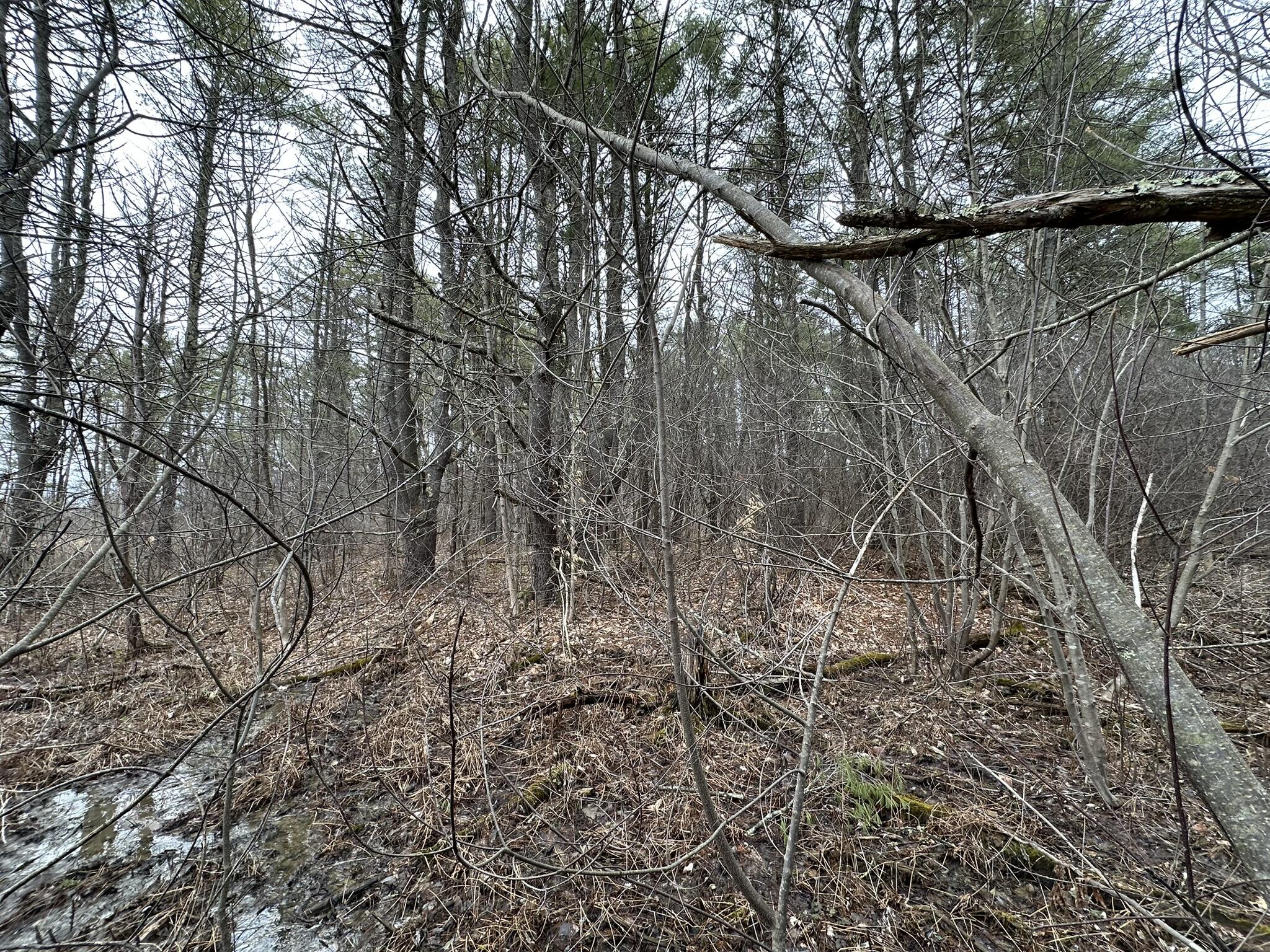 135 River Road Property Photo 20