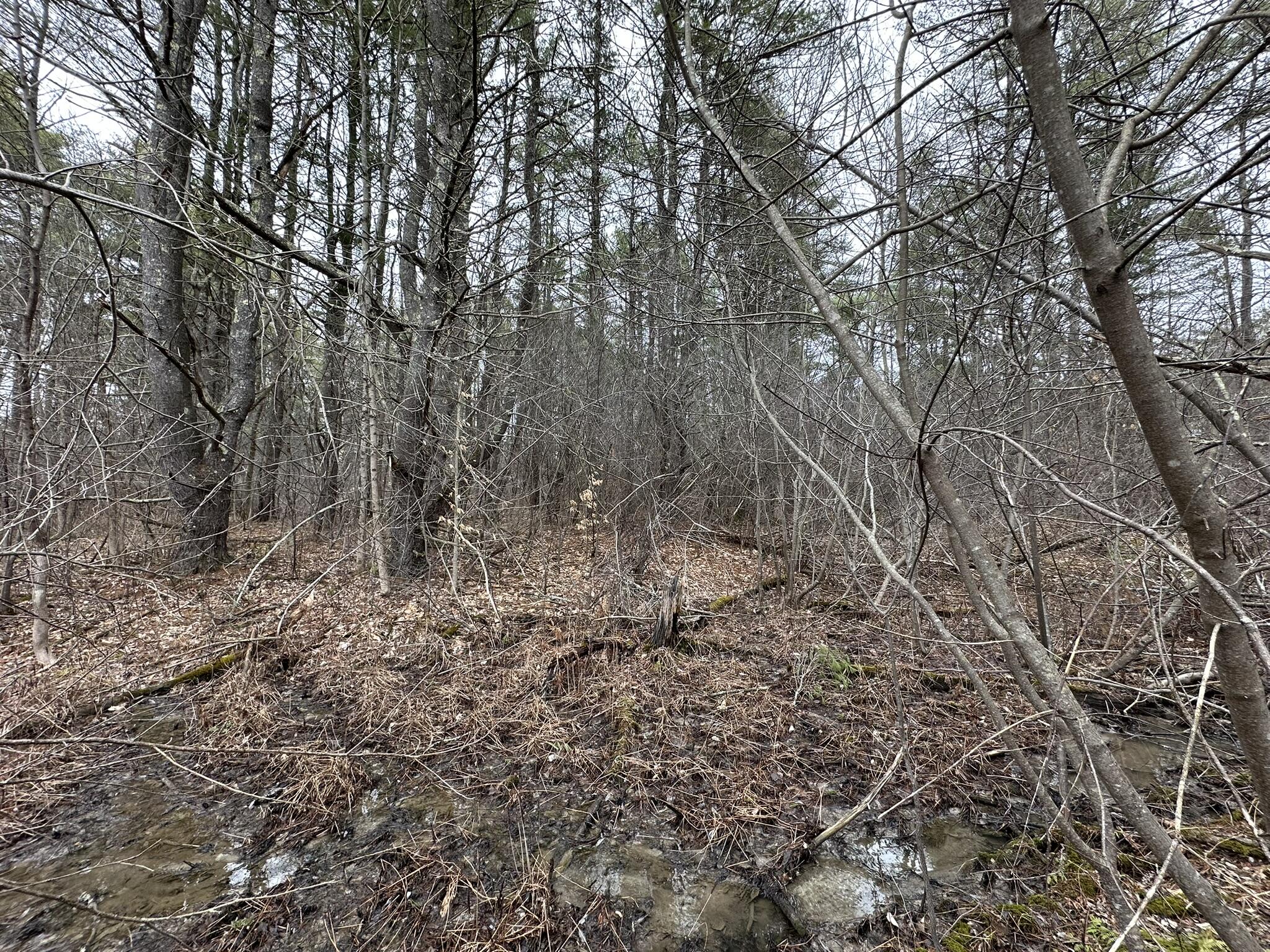 135 River Road Property Photo 21