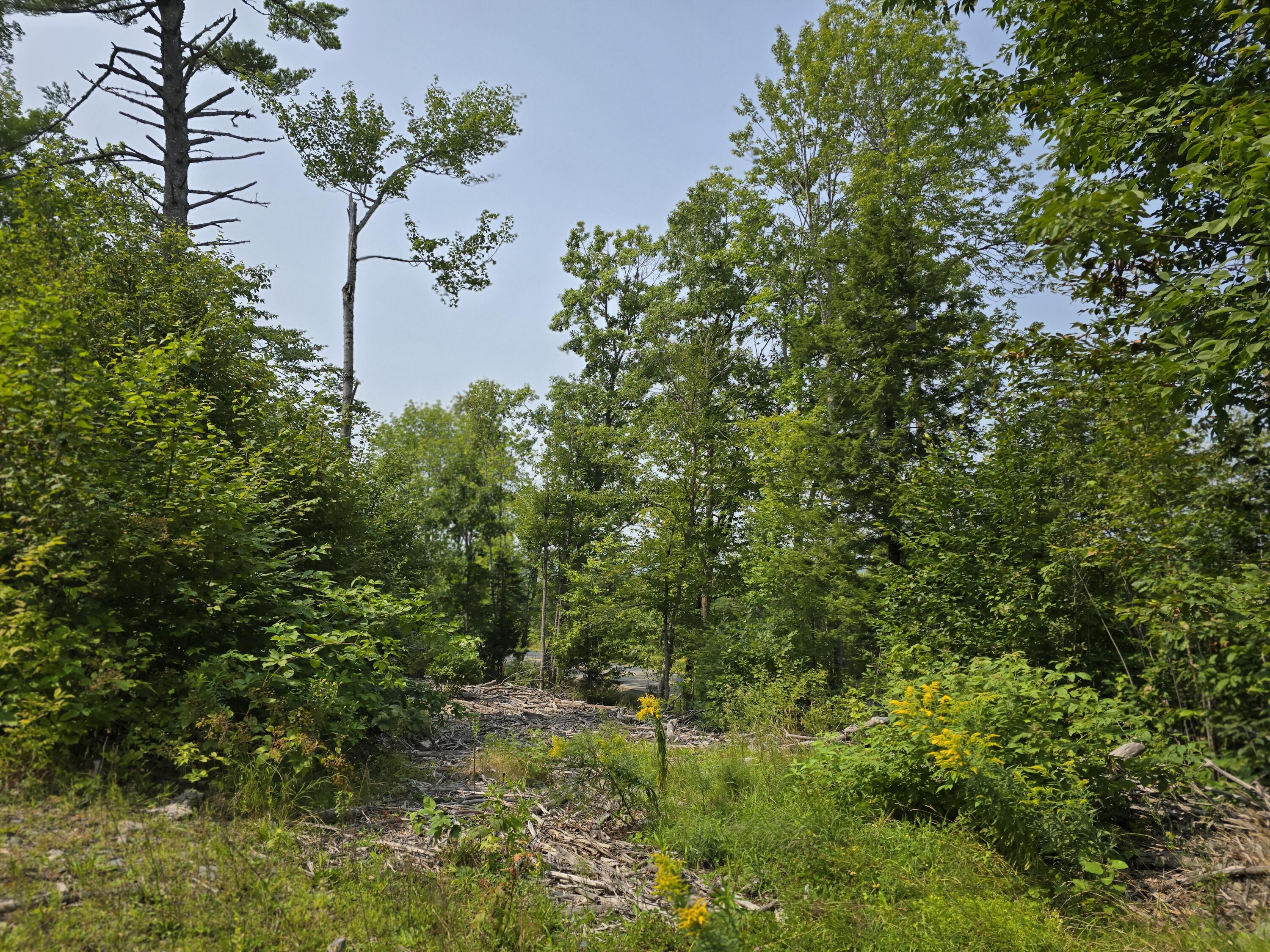Lot7 Bear Brook Subdivision Property Photo 1