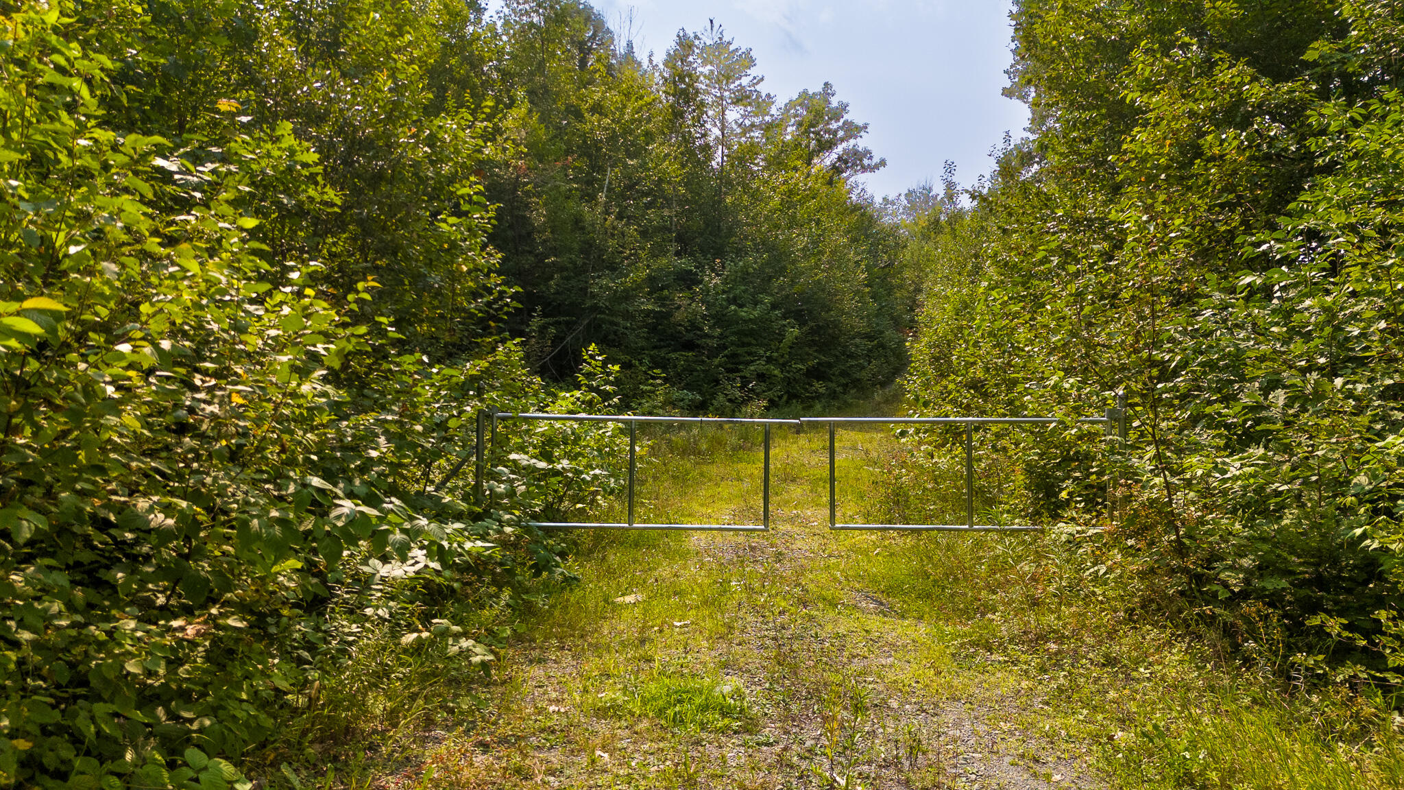 Lot7 Bear Brook Subdivision Property Photo 3
