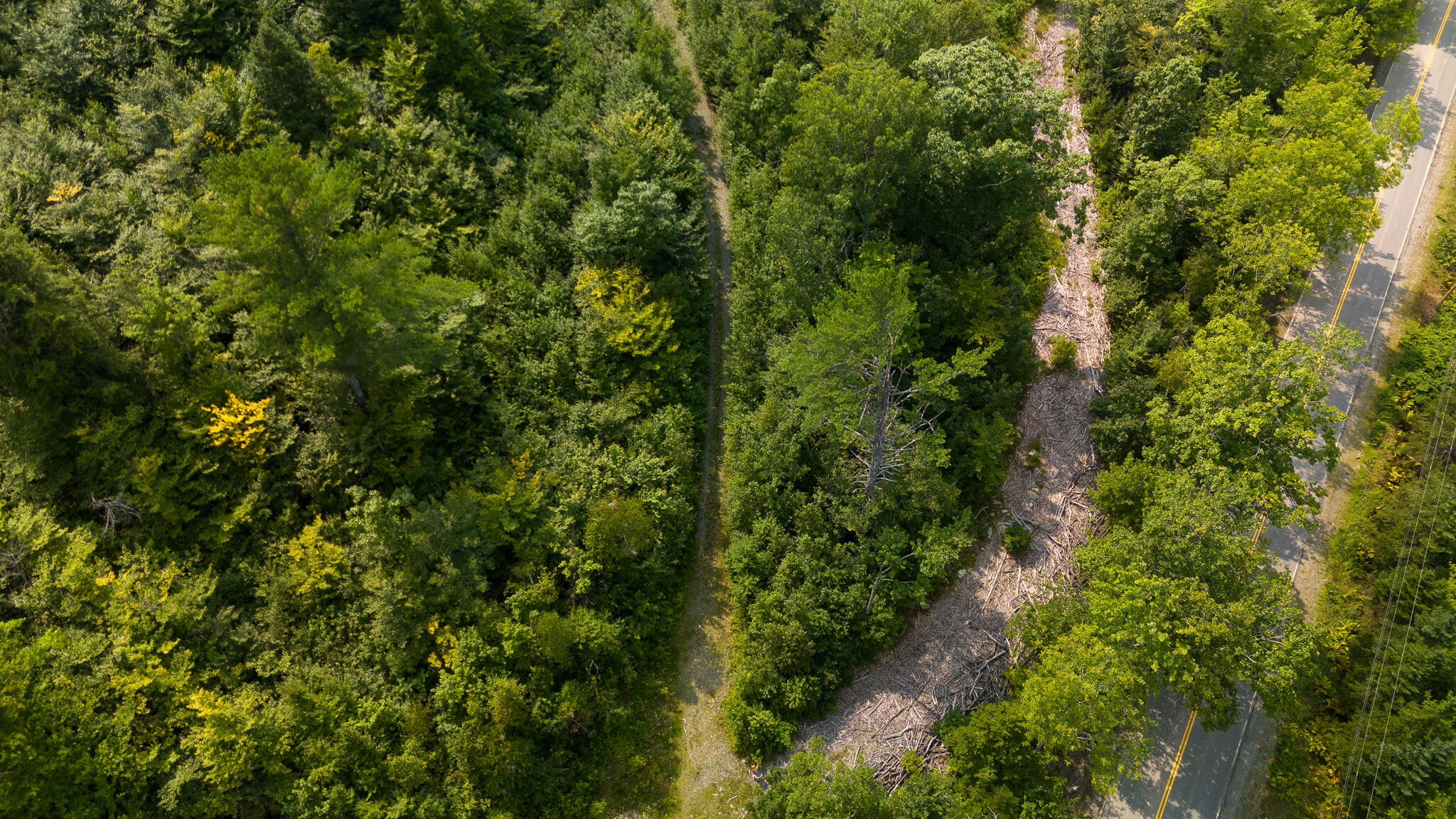 Lot7 Bear Brook Subdivision Property Photo 4
