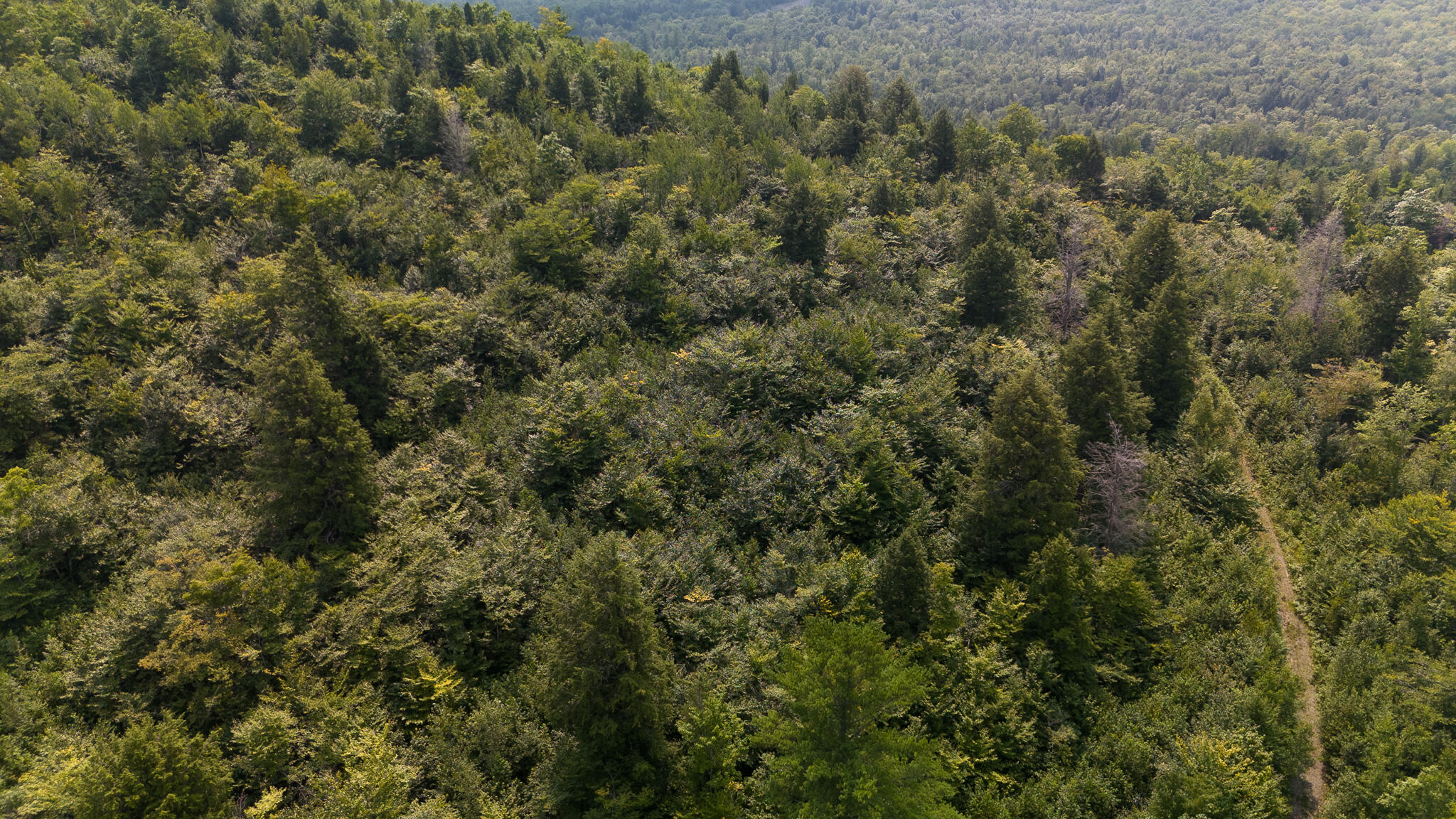 Lot7 Bear Brook Subdivision Property Photo 5