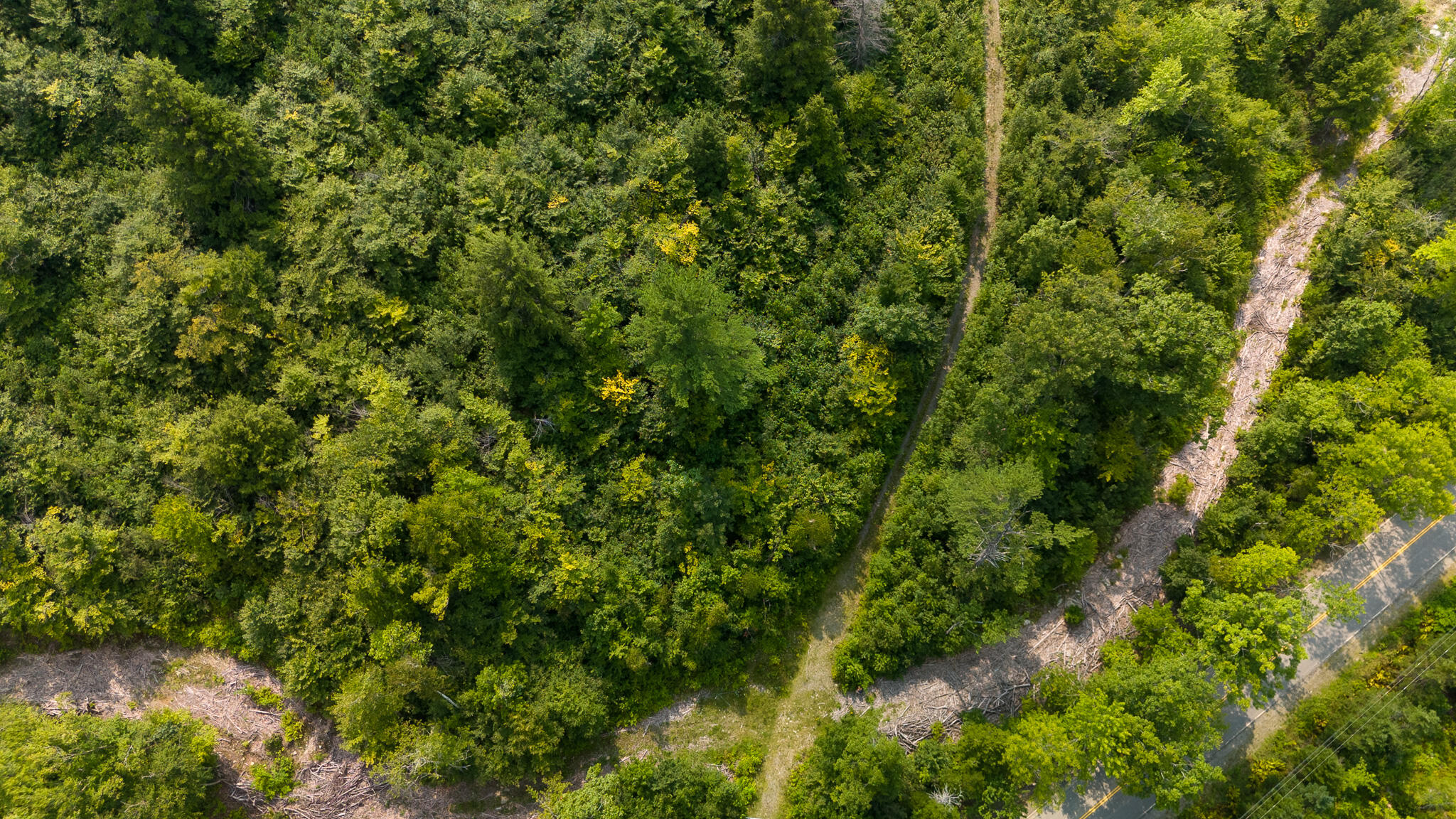 Lot7 Bear Brook Subdivision Property Photo 10