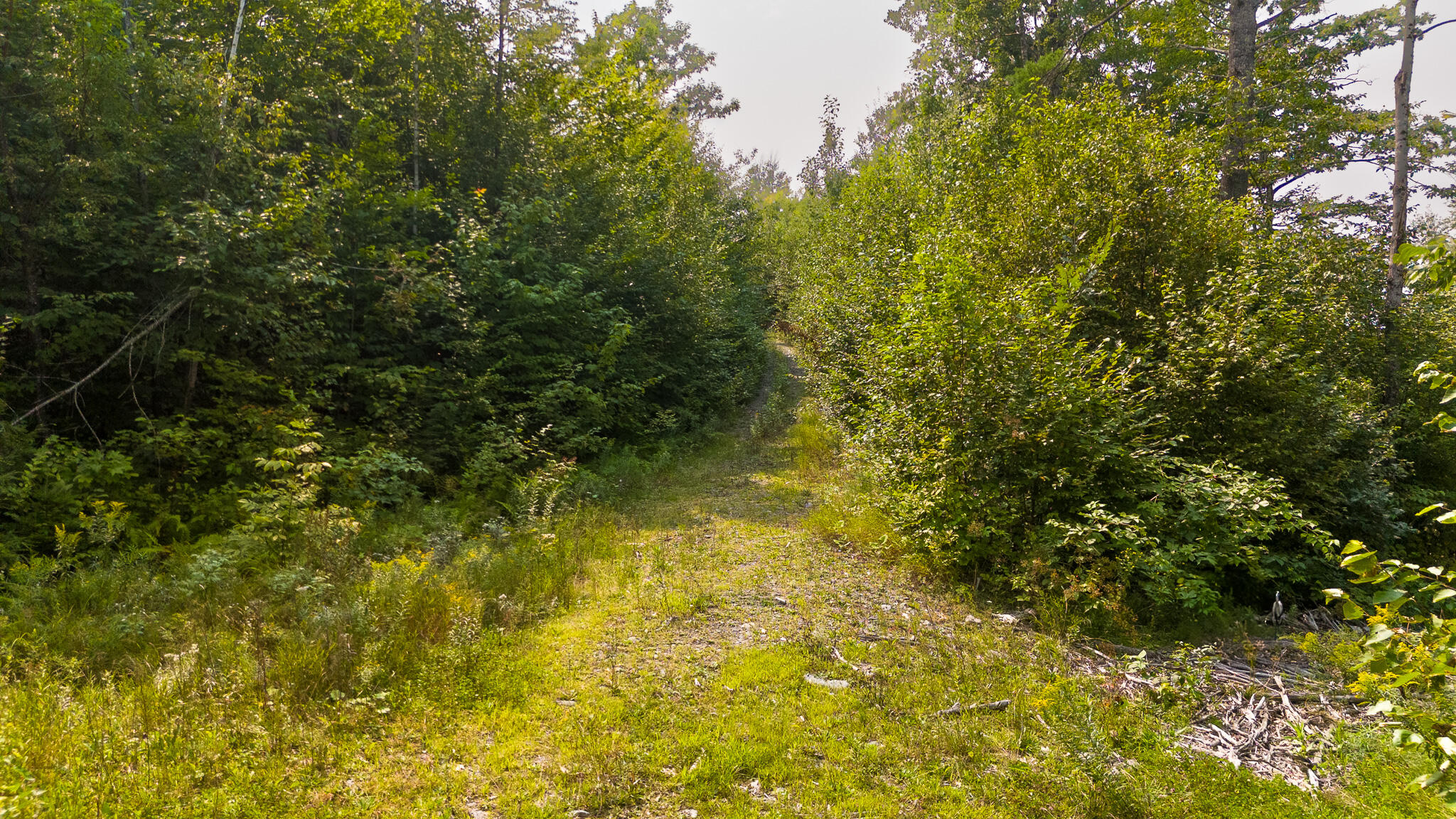 Lot7 Bear Brook Subdivision Property Photo 11