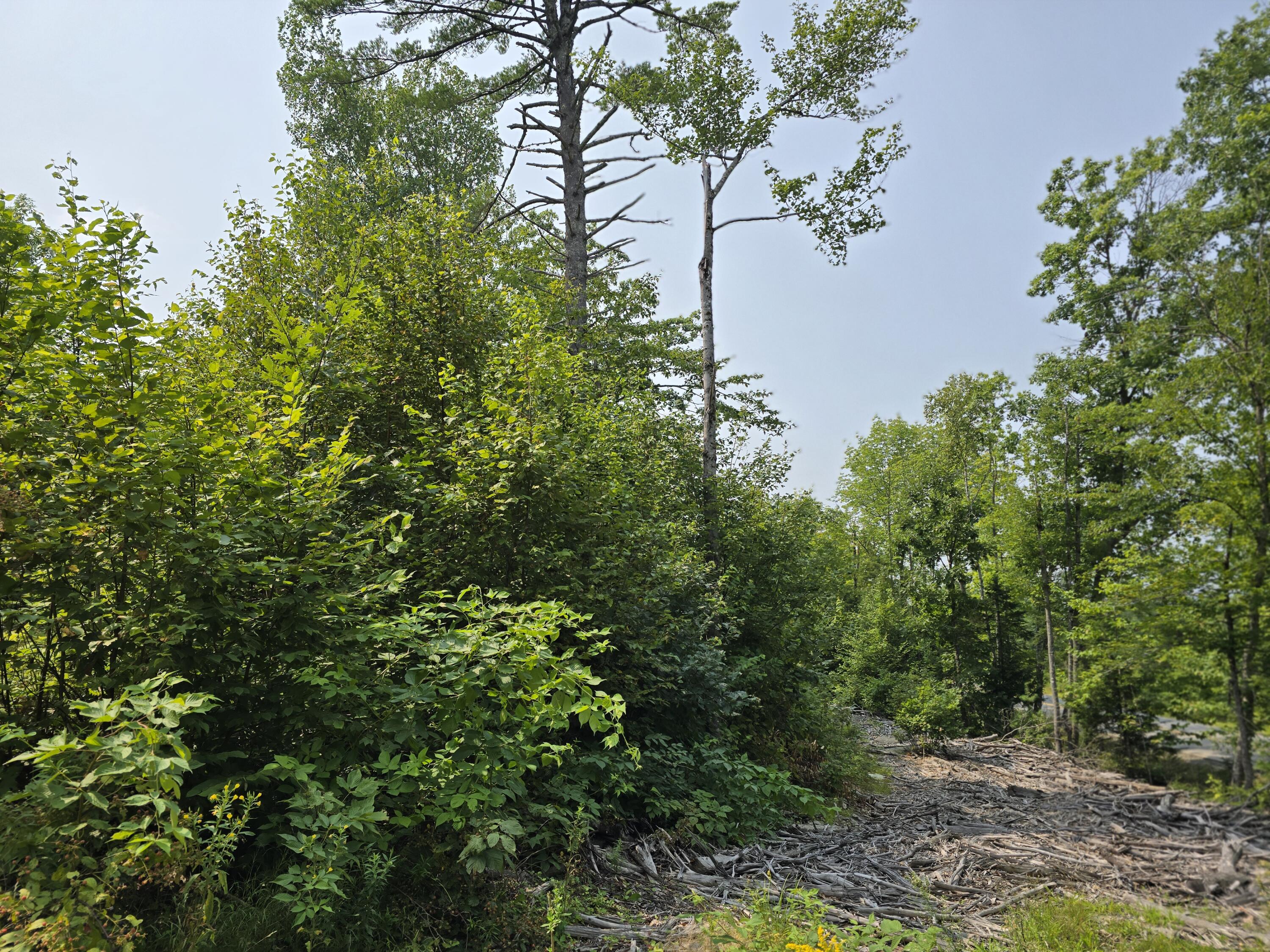 Lot7 Bear Brook Subdivision Property Photo 14