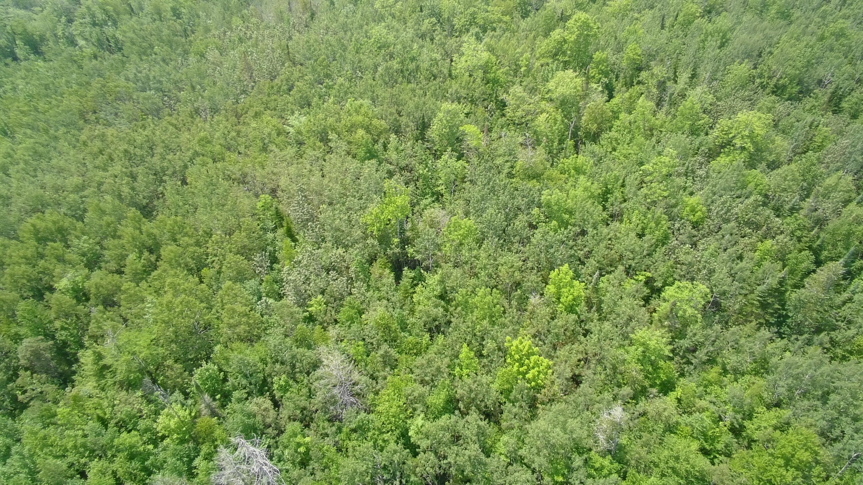 Tbd Trafton Road Property Photo 1
