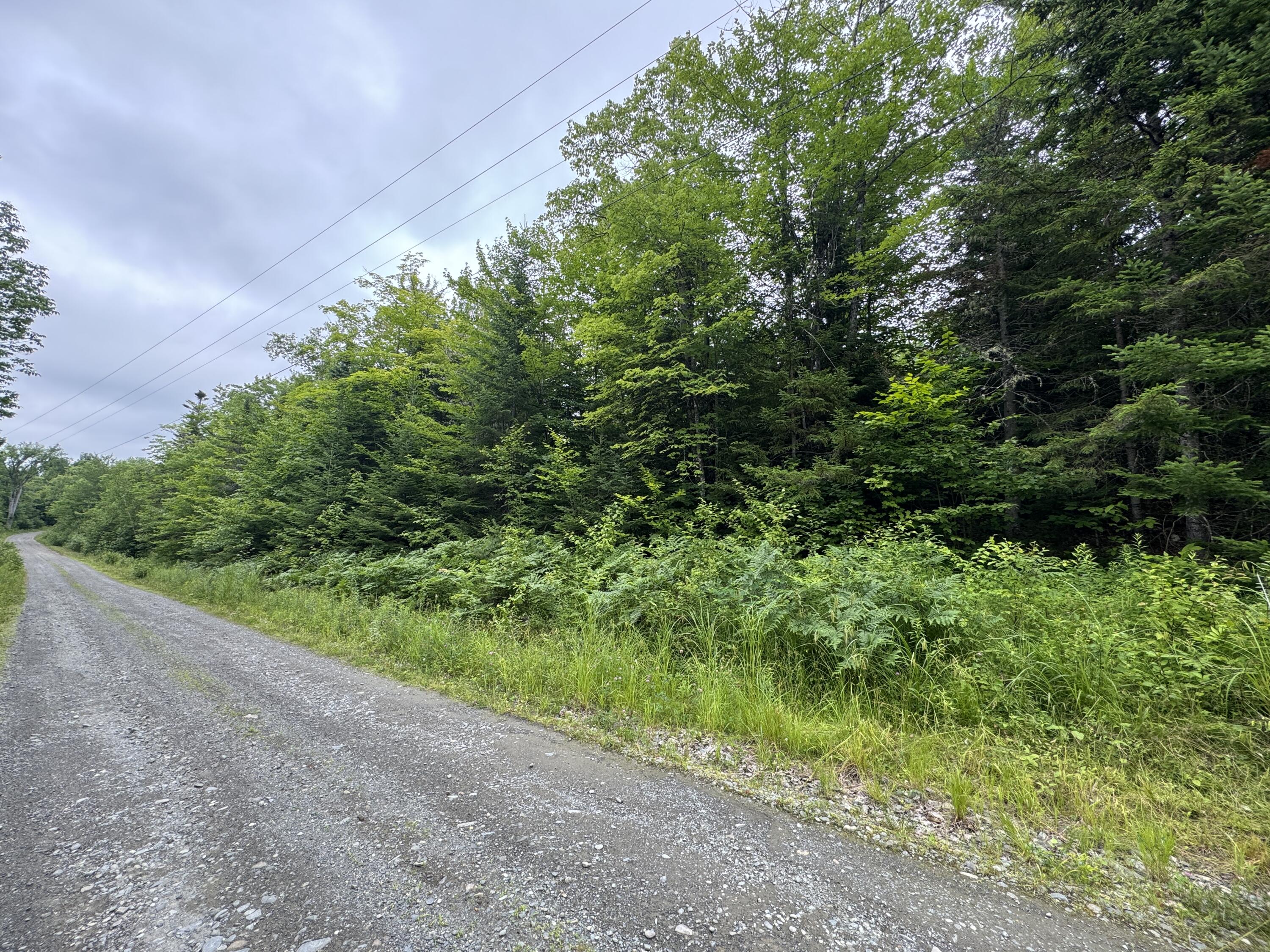 Tbd Trafton Road Property Photo 1