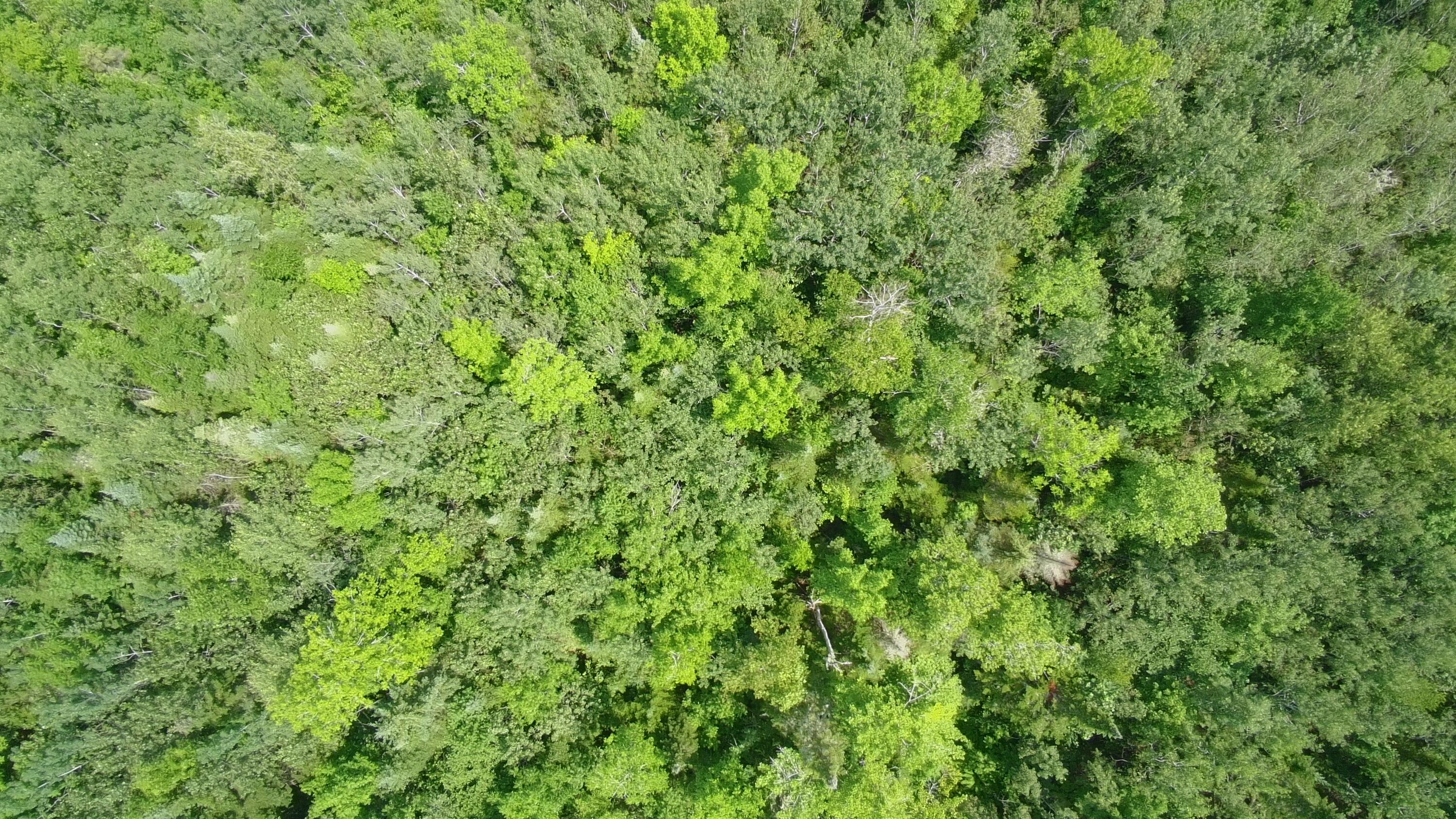Tbd Trafton Road Property Photo 2